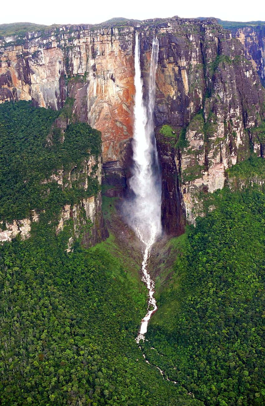 Angel Falls, vegetation, aerial view, HD Phone Wallpaper