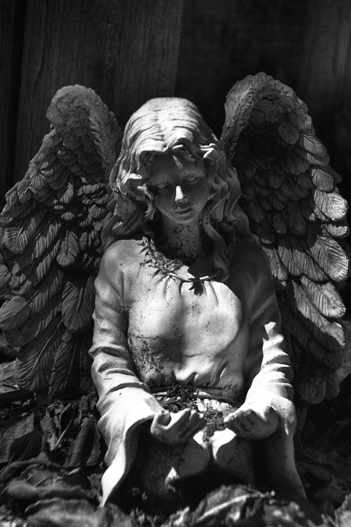 angel statue, weathered stone, detailed wings, Full HD Phone Wallpaper