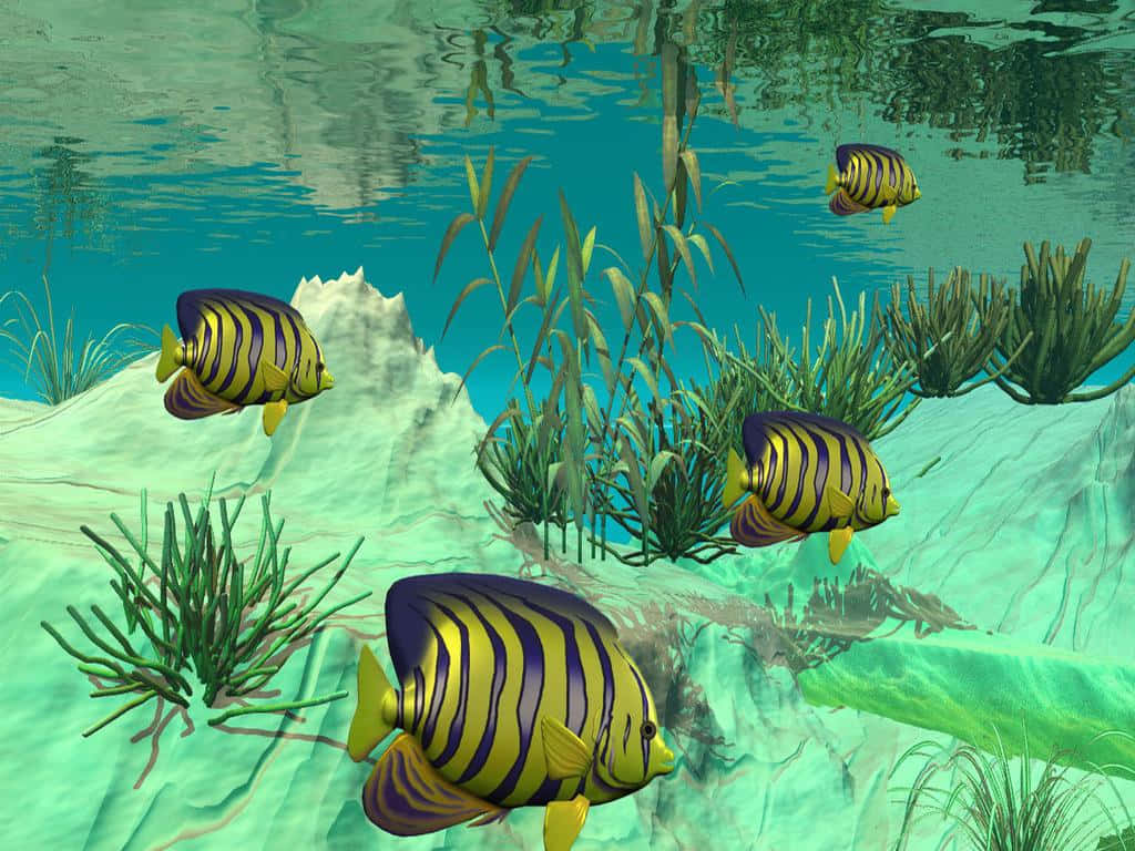 angelfish, yellow and purple striped, green sea grasses, SD Desktop Wallpaper