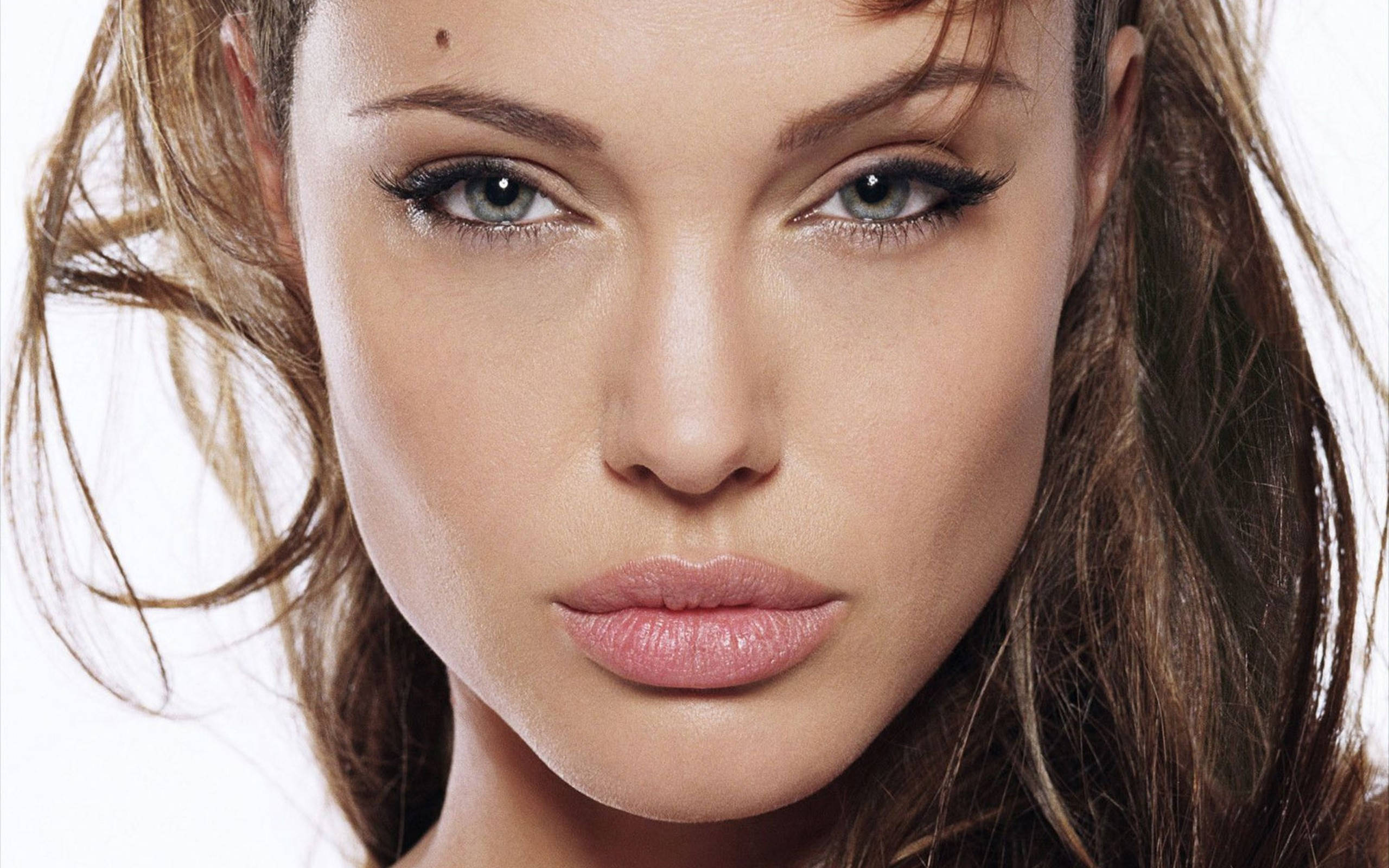 Angelina Jolie, blue eyes, soft brown hair, 2K Desktop Wallpaper