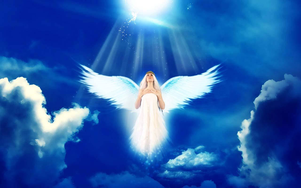 Angels In Heaven, glowing white wings, clouds, HD Desktop Wallpaper