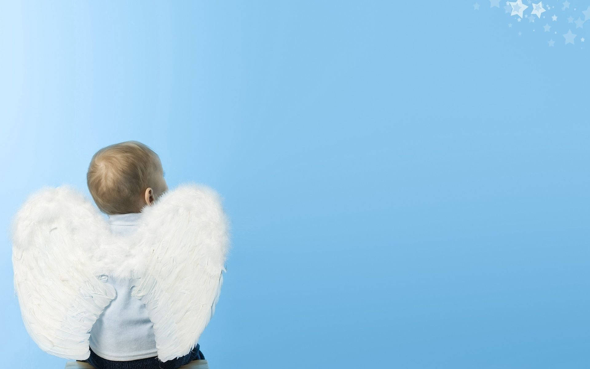 Angels In Heaven, baby blue background, fluffy white angel wings, Full HD Desktop Wallpaper