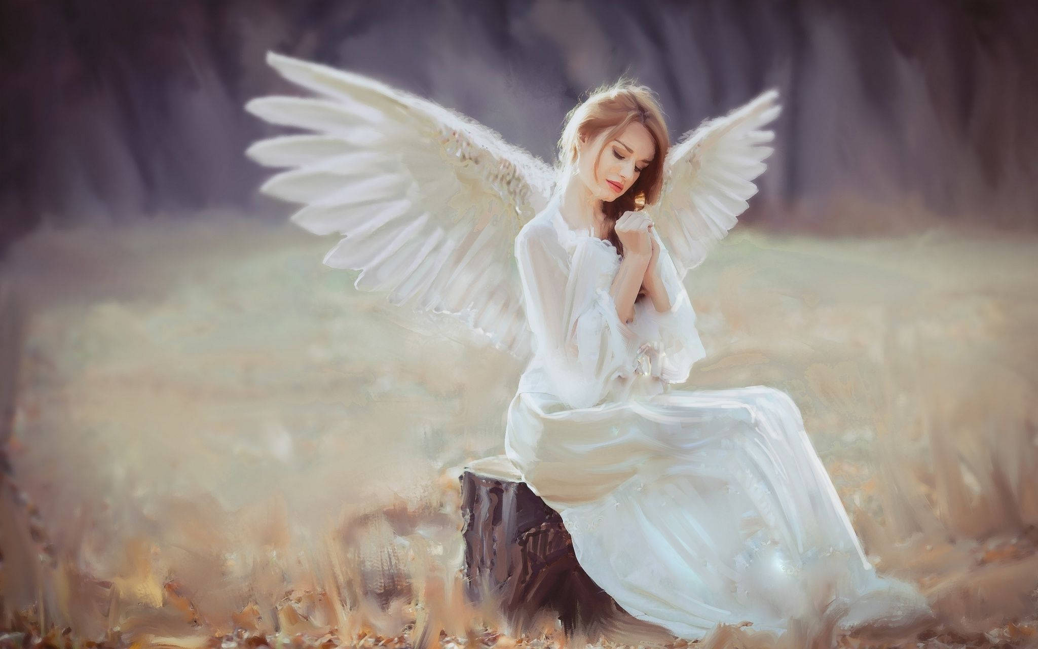 Angels In Heaven, white wings, tree stump, Full HD Desktop Wallpaper