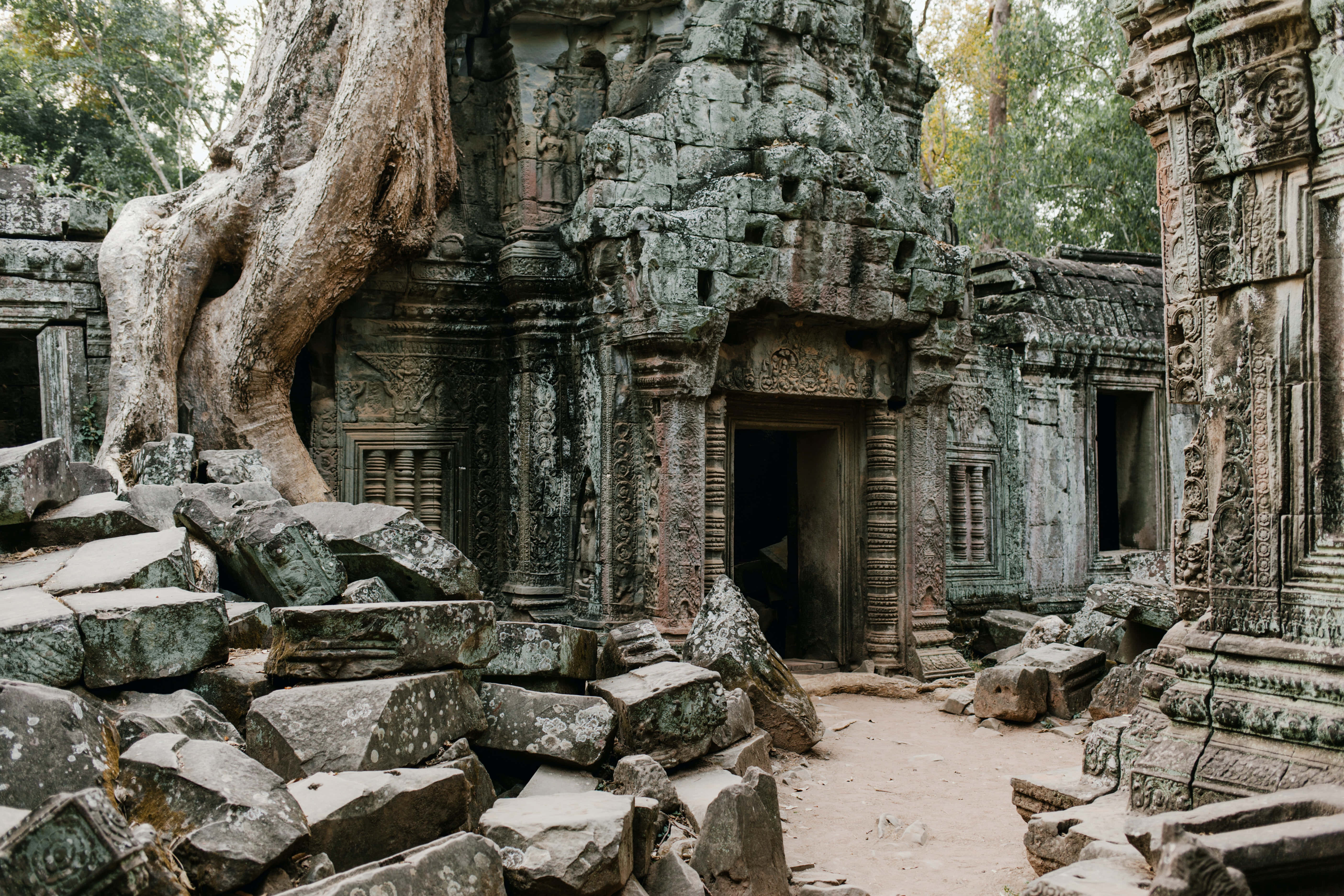 Angkor Thom, ancient stone temple ruins, massive tree roots, 5K Desktop Wallpaper