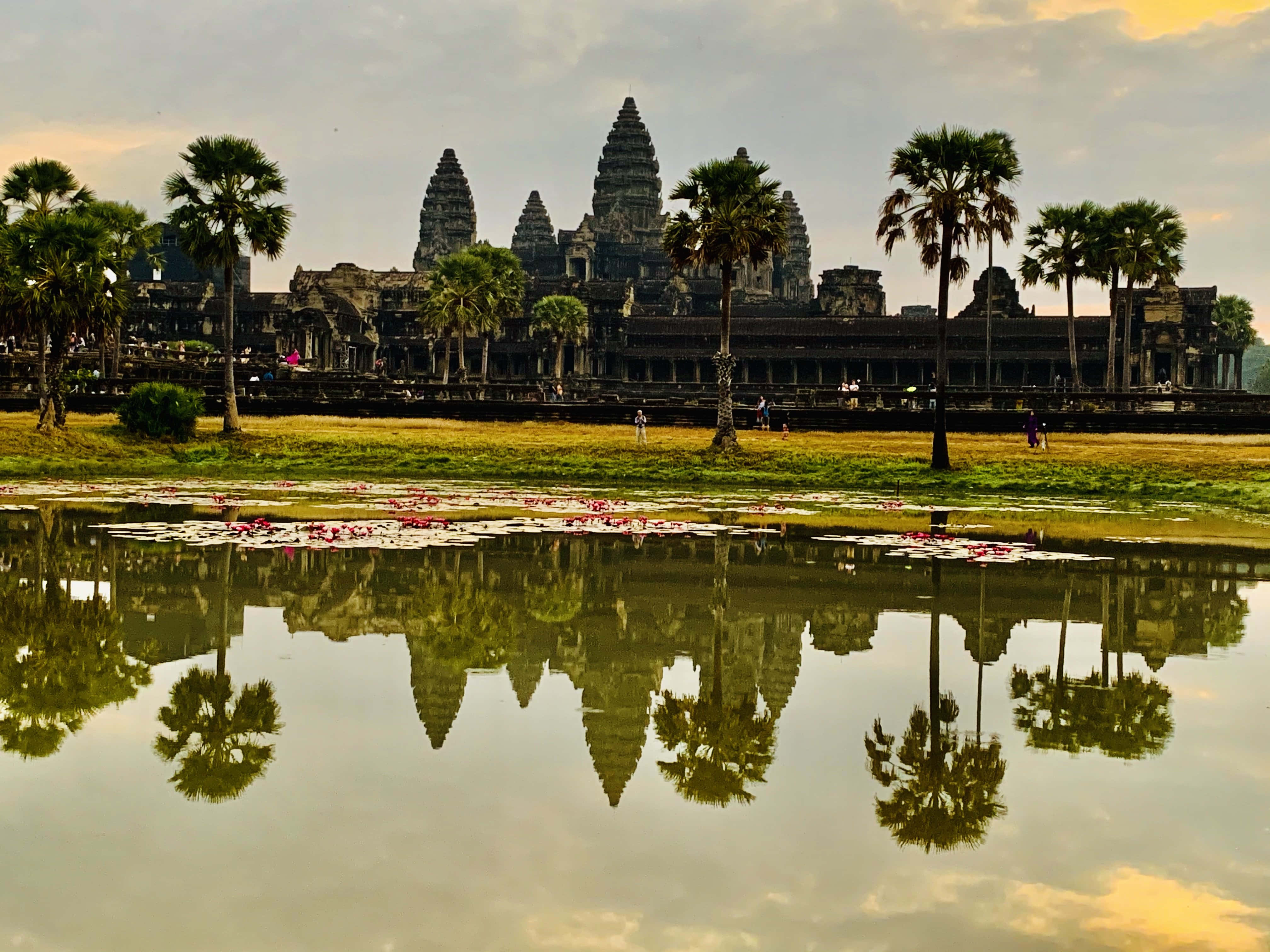 Angkor Thom, calm water, palm trees, 4K Desktop Wallpaper