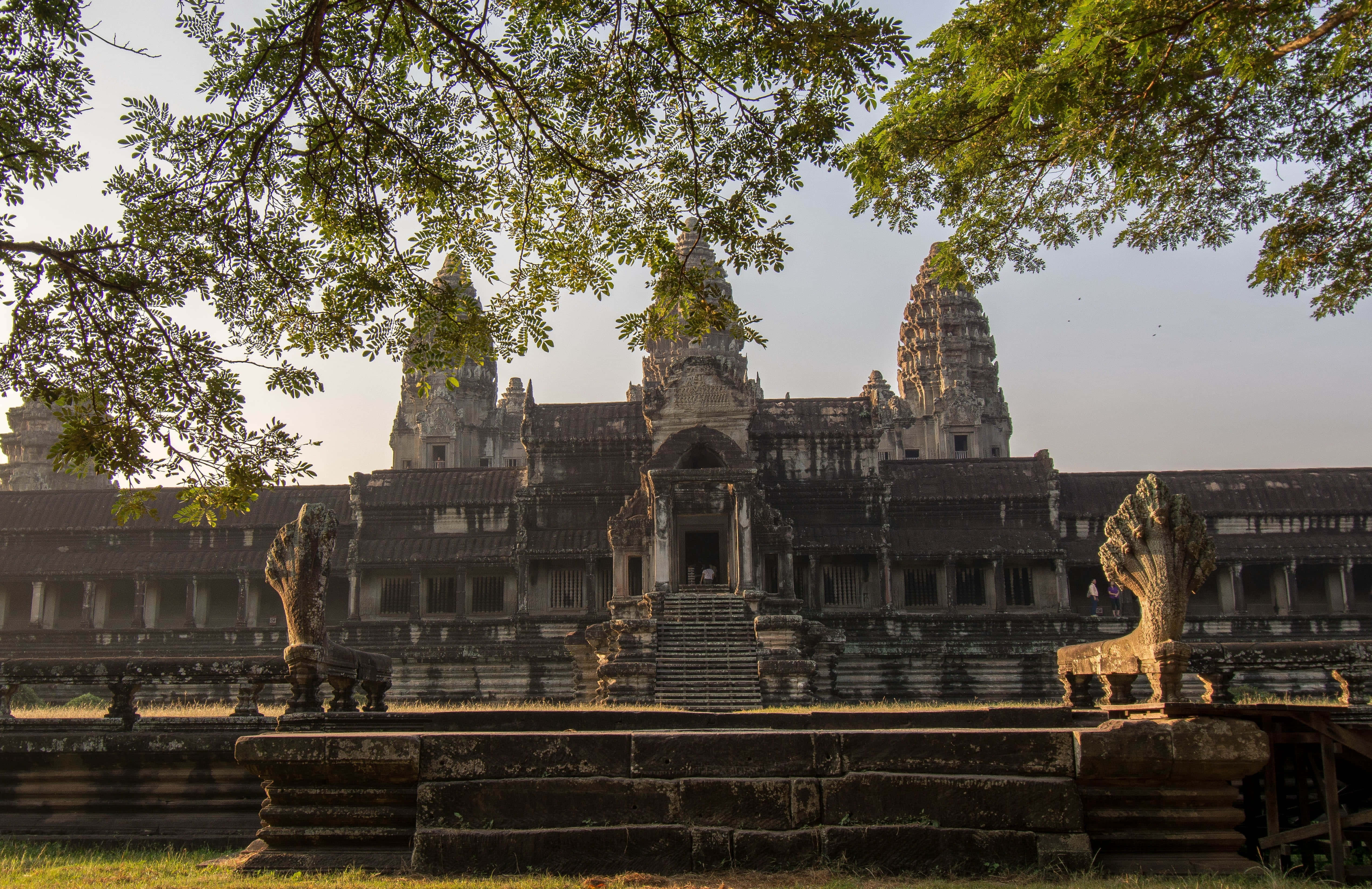 Angkor Thom, ancient stone temple complex, lush green tree branches, 4K Desktop Wallpaper