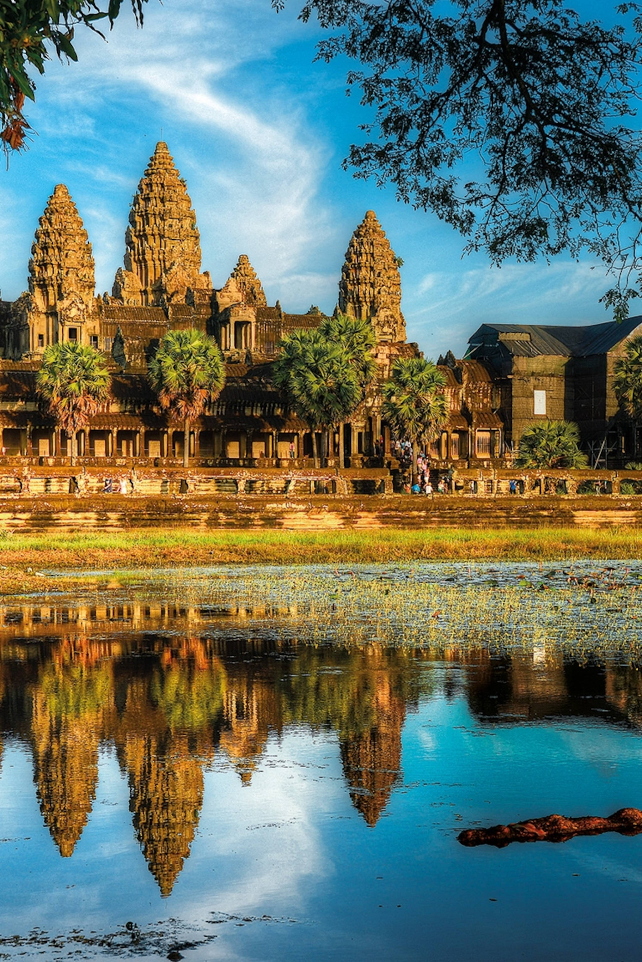 Angkor Wat, water reflection, calm waters, 2K Phone Wallpaper