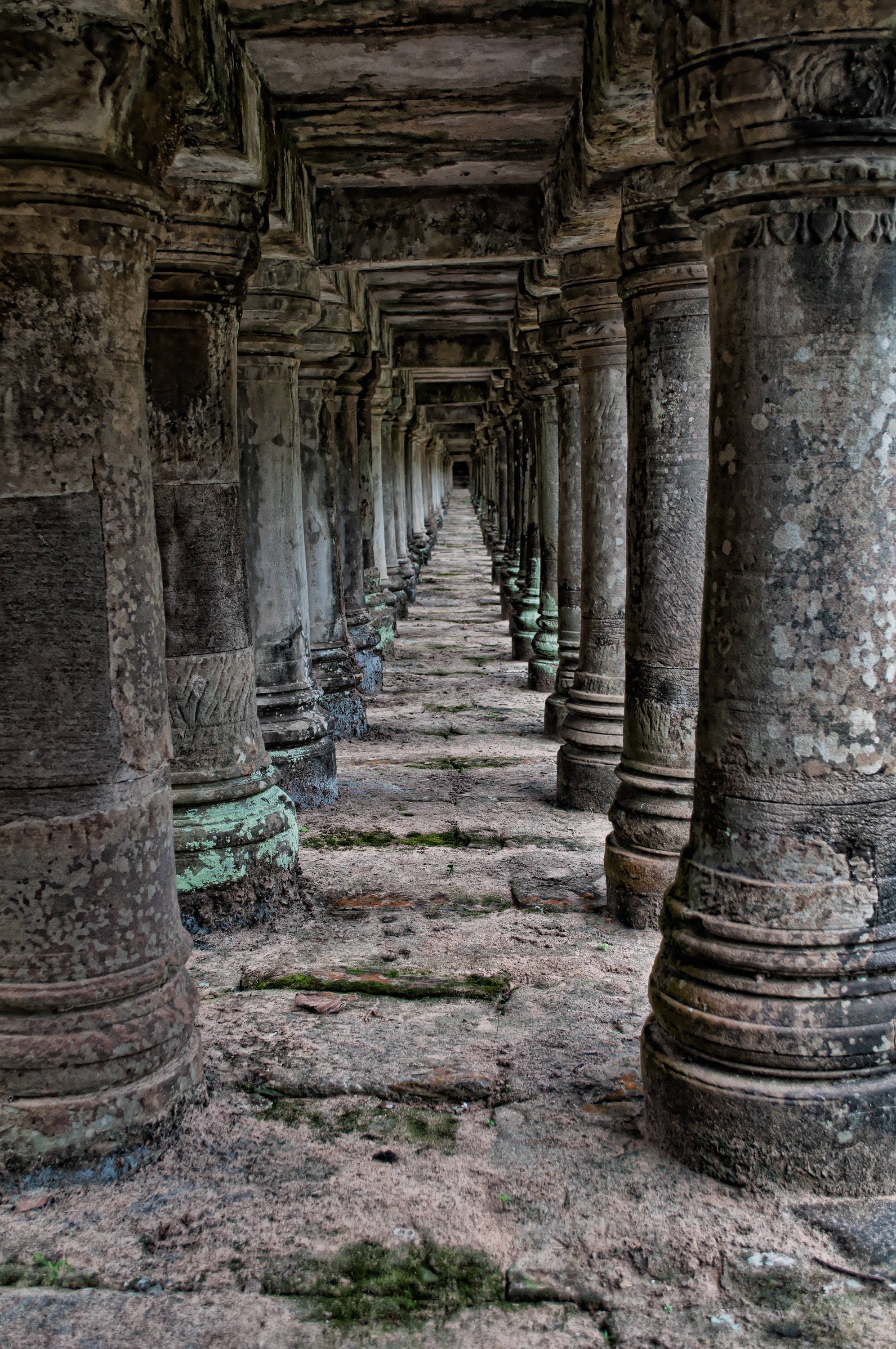 Angkor Wat, stone pillars, mossy bases, 2K Phone Wallpaper