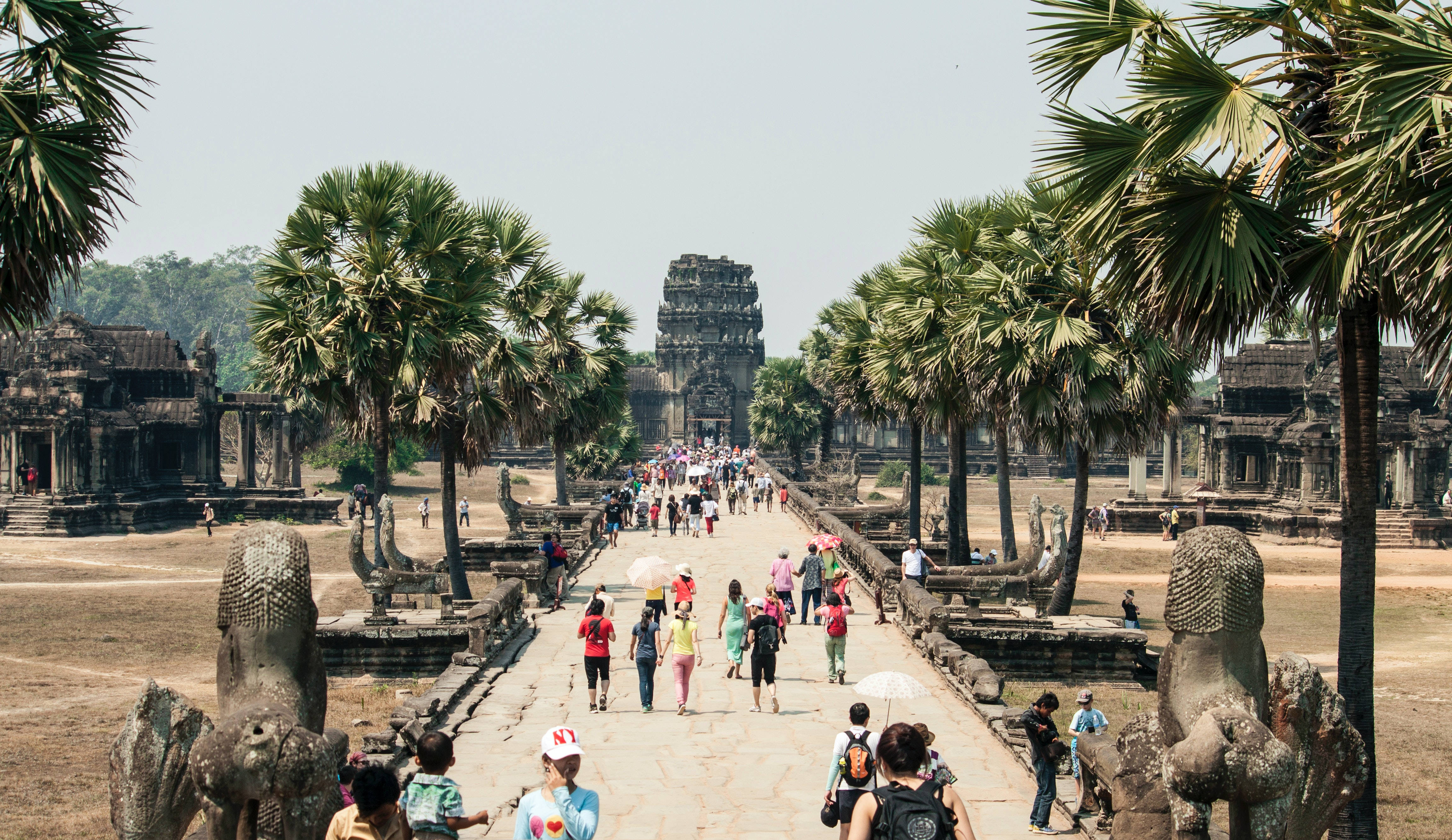 Angkor Wat, stone path, palm trees, 4K Desktop Wallpaper