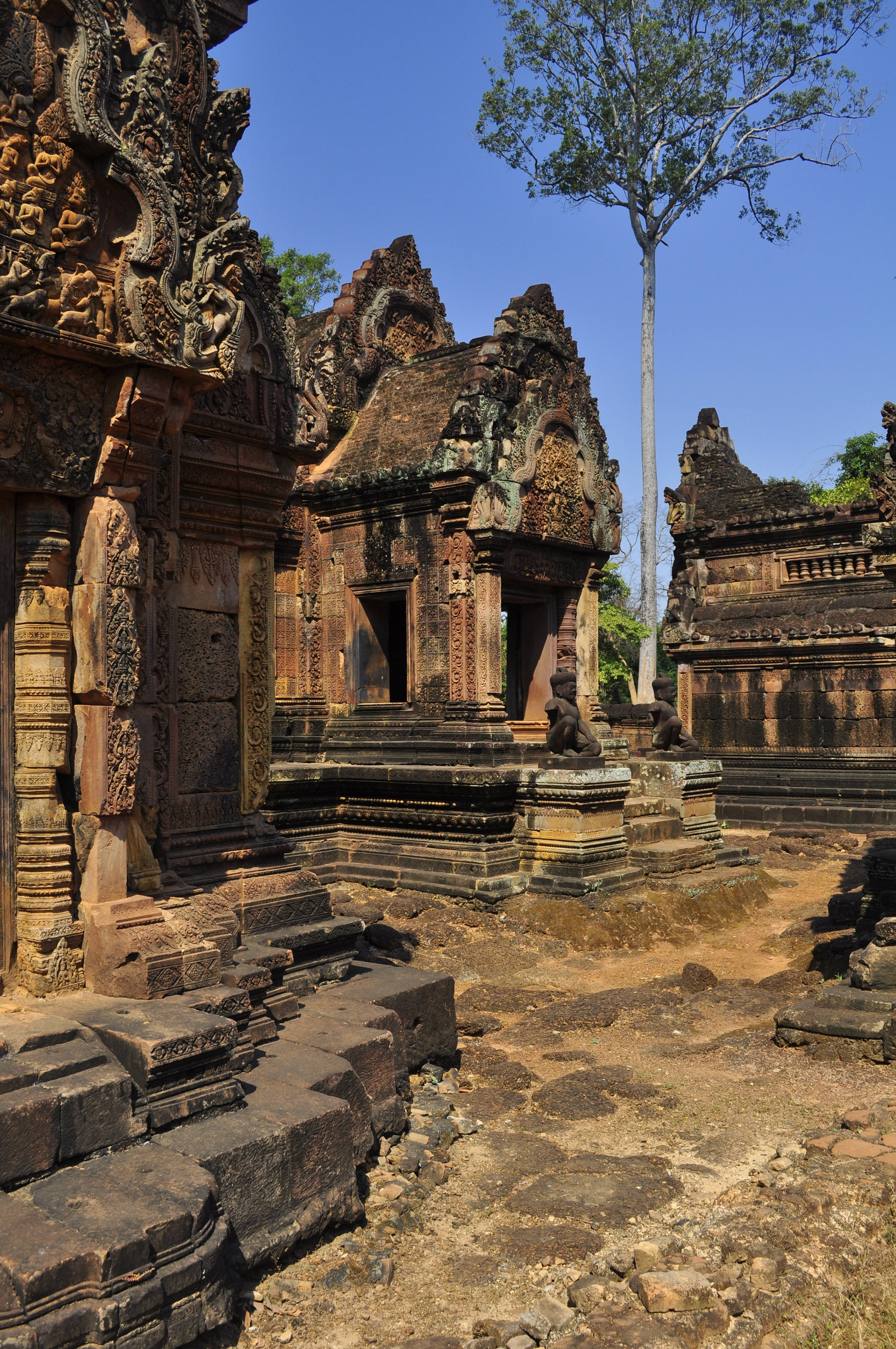 Angkor Wat, blue sky, towering tree, 4K Phone Wallpaper