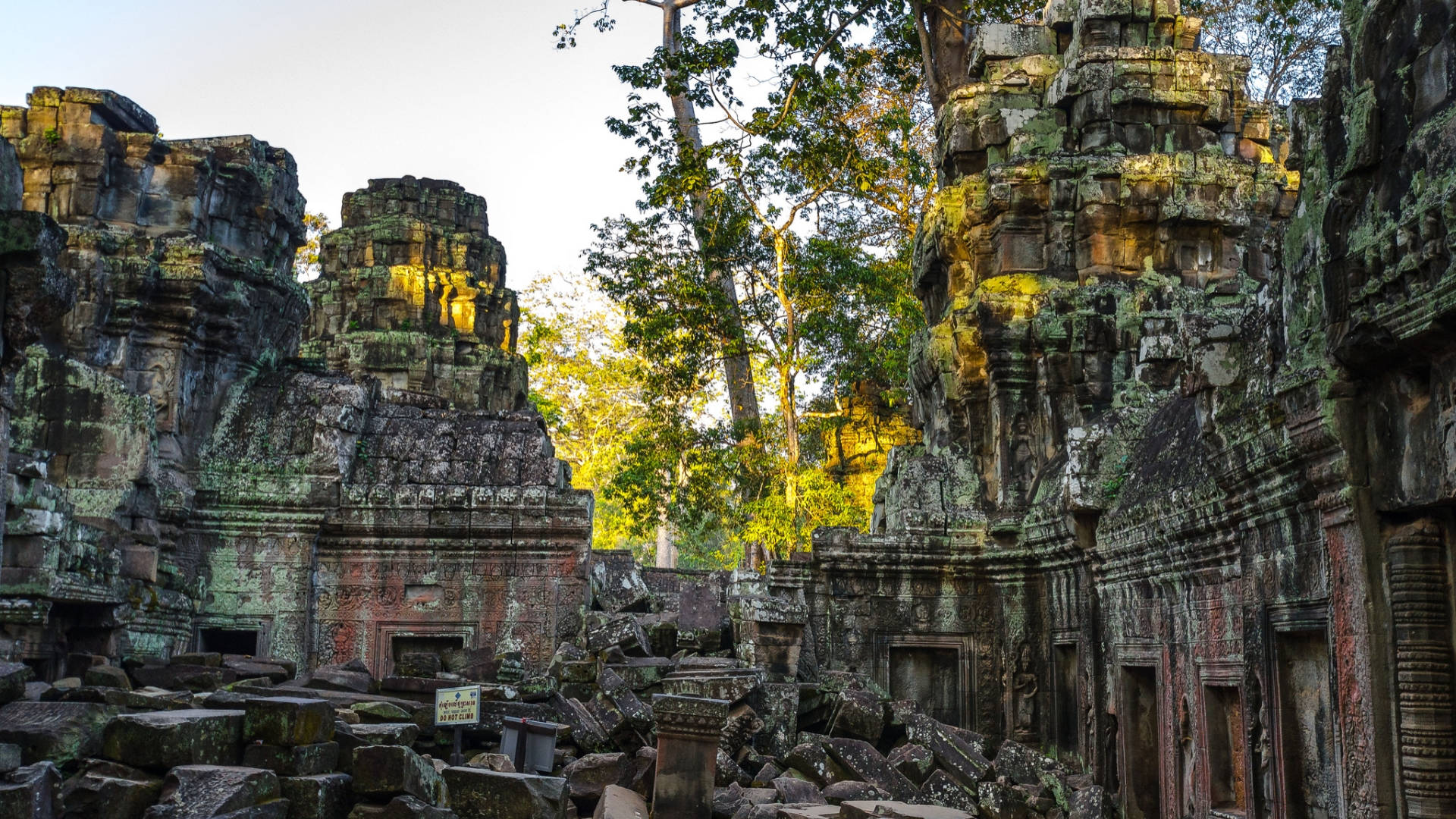 Angkor Wat, lush green trees, golden sunset light, Full HD Desktop Wallpaper