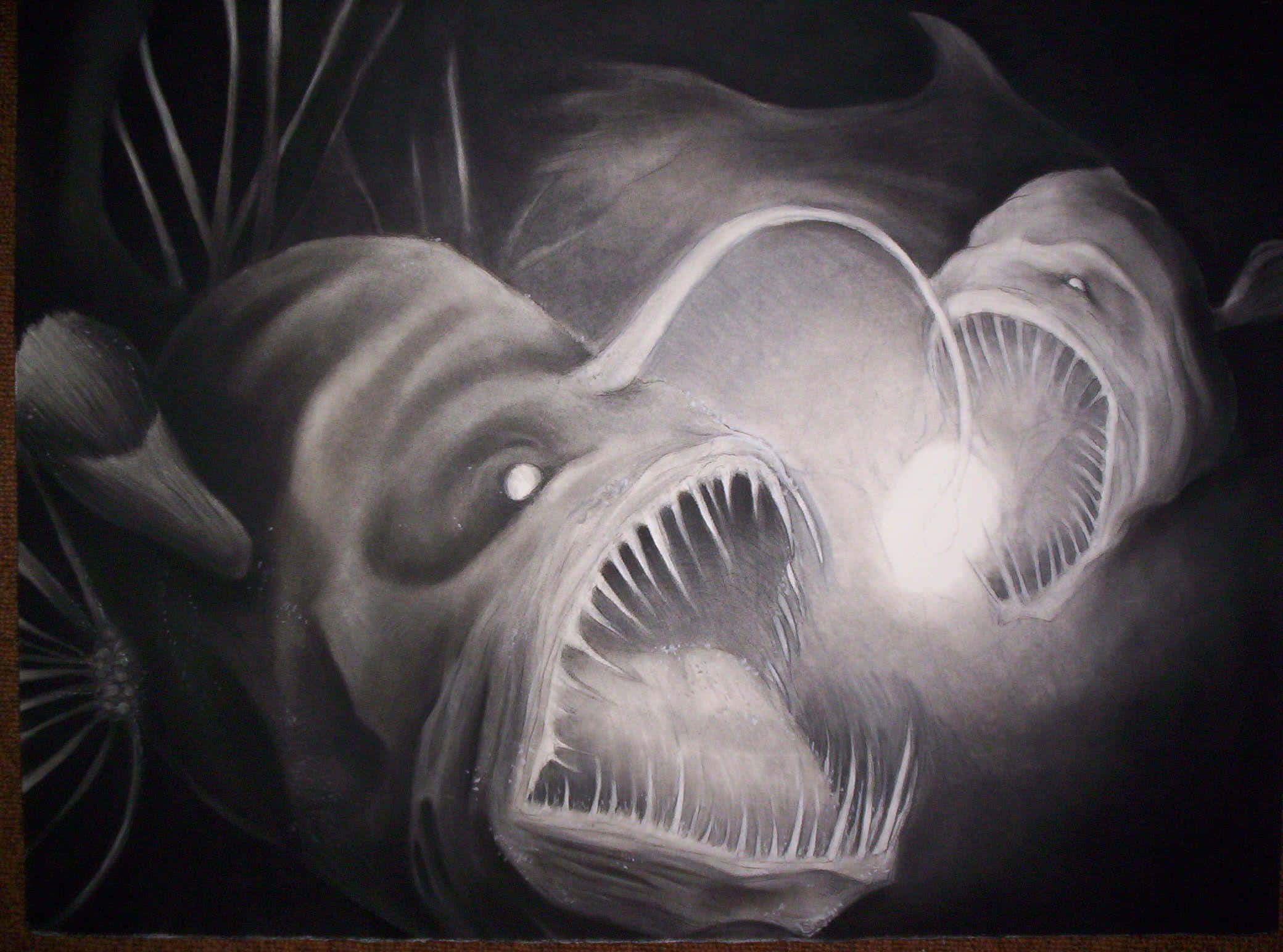 deep sea anglerfish, monochrome illustration, glowing lure, Full HD Desktop Wallpaper