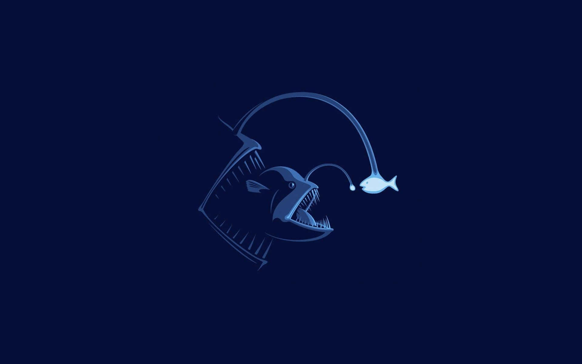 deep sea anglerfish, bioluminescent lure, deep blue background, Full HD Desktop Wallpaper
