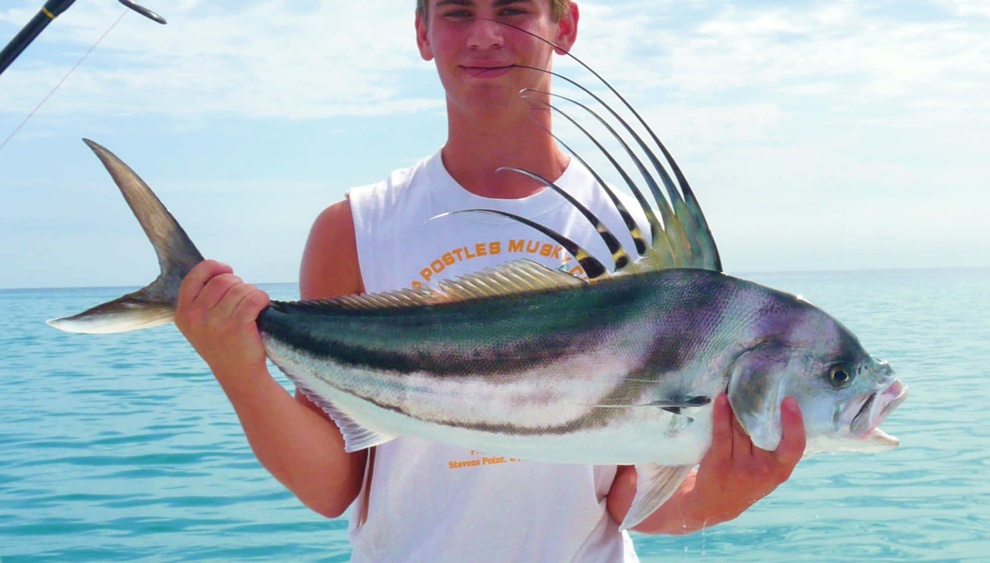 young angler, roosterfish, large colorful fish, Full HD Desktop Wallpaper