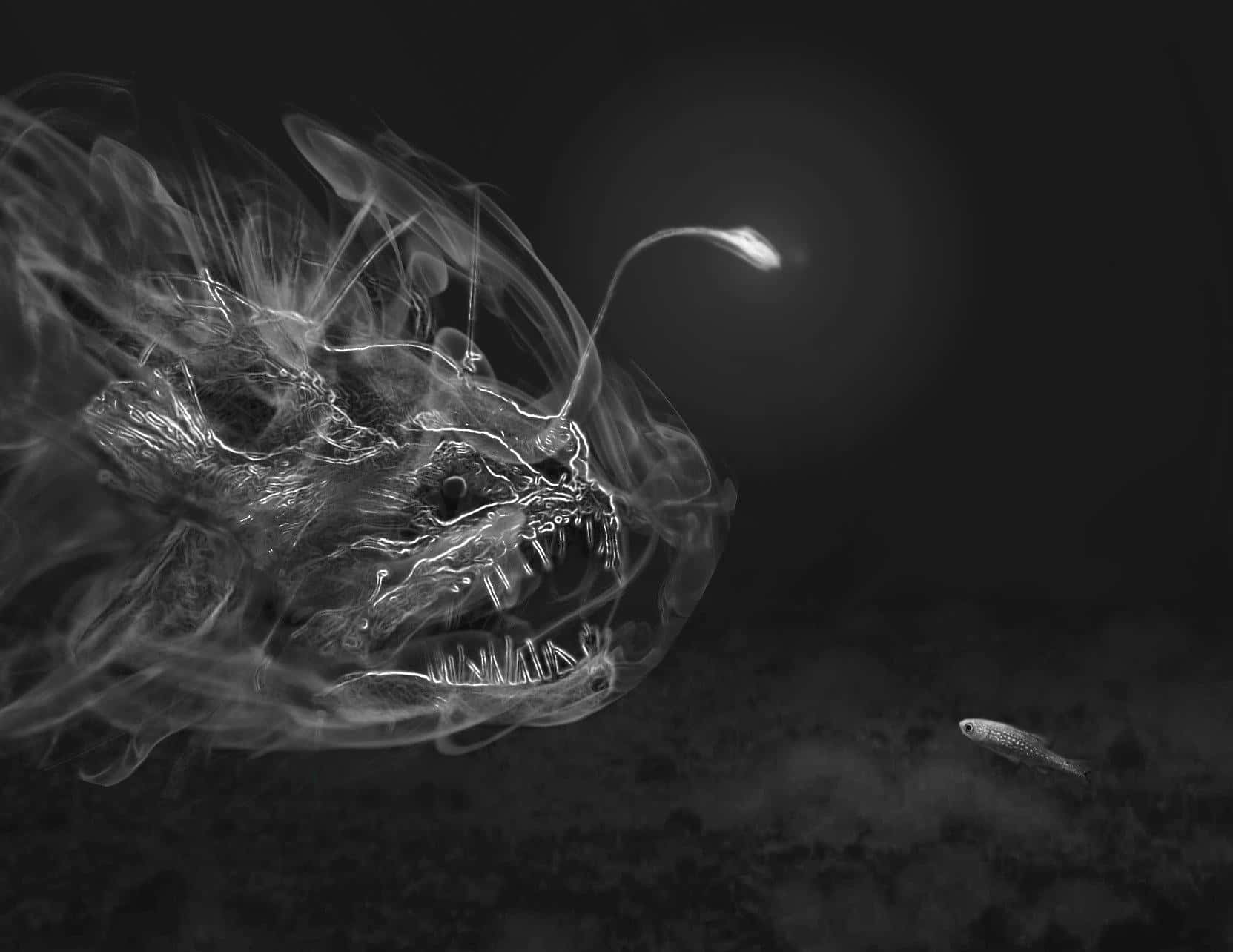 anglerfish, glowing lure, sharp teeth, HD Desktop Wallpaper