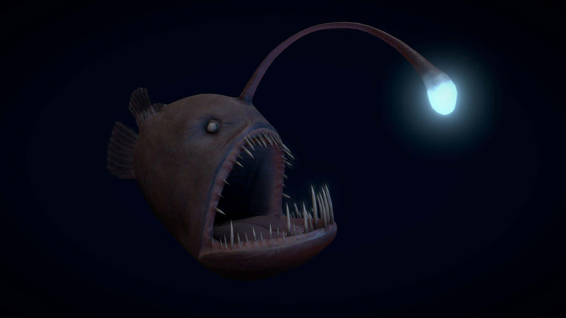 Deep Sea Anglerfish, glowing lure, sharp teeth, Full HD Desktop Wallpaper
