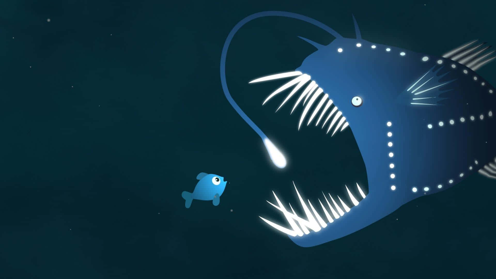 deep sea anglerfish, glowing anglerfish, lure, Full HD Desktop Wallpaper