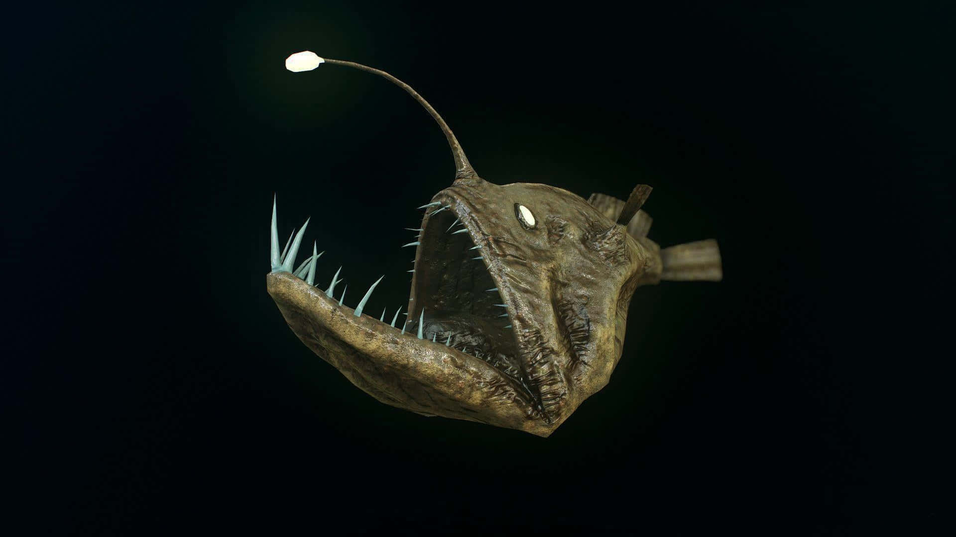 anglerfish, glowing lure, sharp teeth, Full HD Desktop Wallpaper