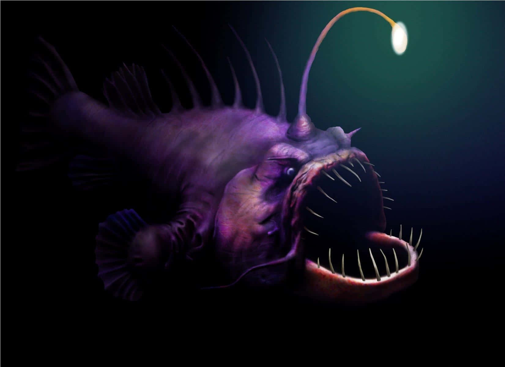 deep-sea anglerfish, glowing lure, sharp teeth, HD Desktop Wallpaper