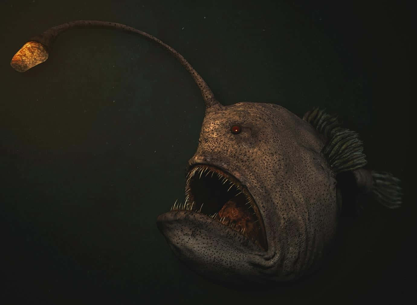 Anglerfish, glowing lure, jagged teeth, HD Desktop Wallpaper