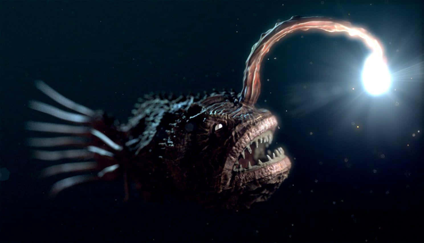 deep sea anglerfish, glowing lure, dark abyss, HD Desktop Wallpaper