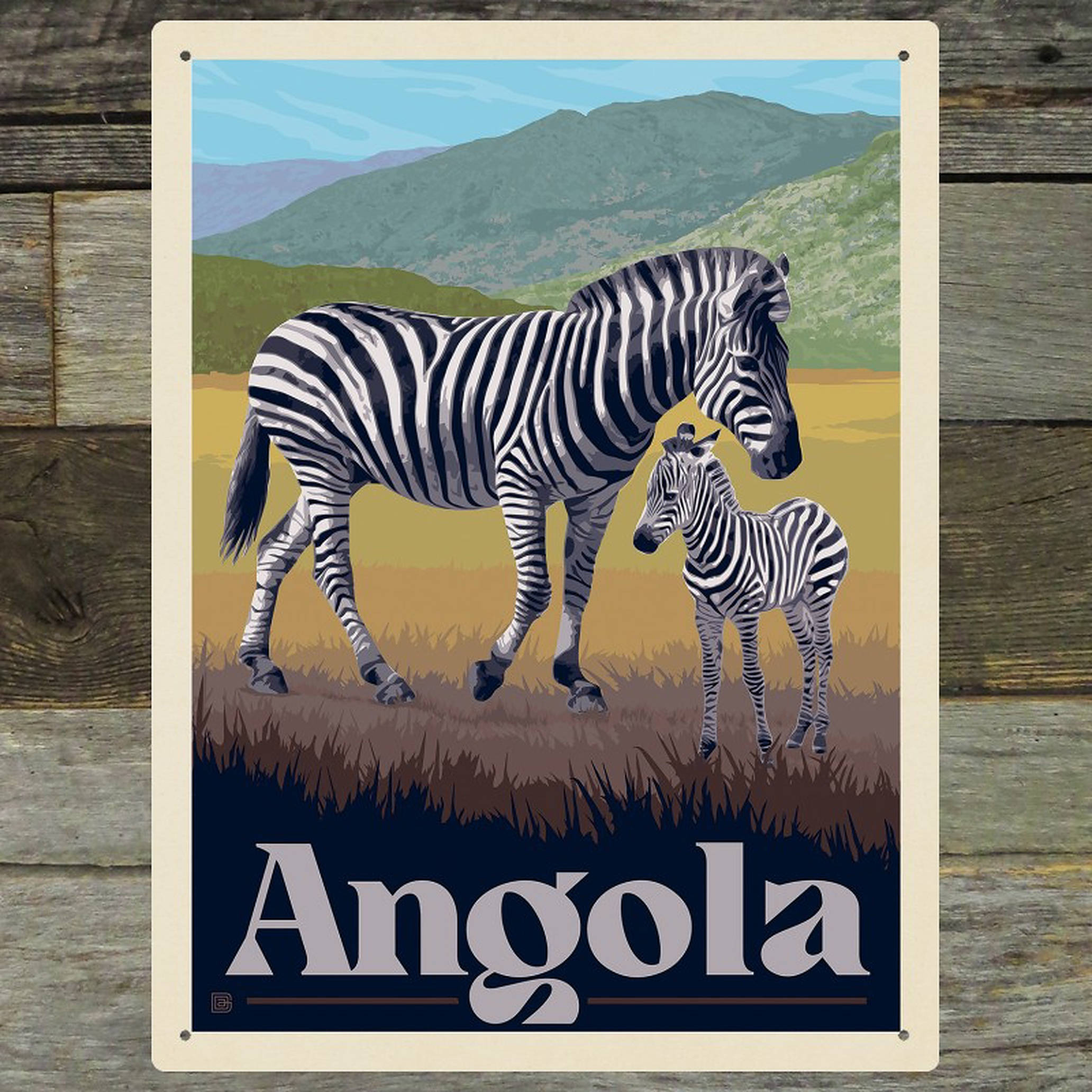 Angola, zebra, foal, Full HD Desktop Wallpaper