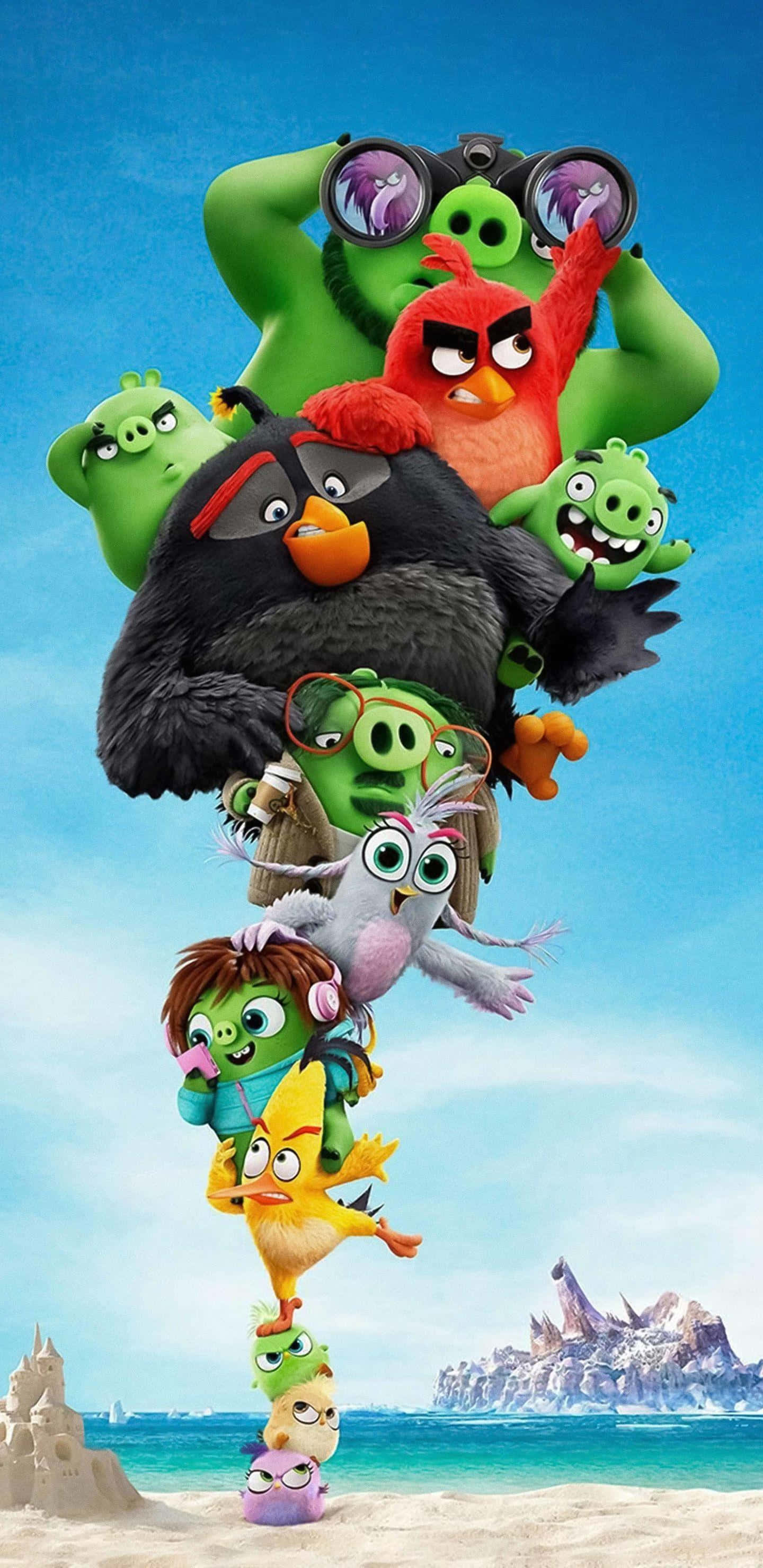 Angry Birds characters, beach, sunny, 2K Phone Wallpaper