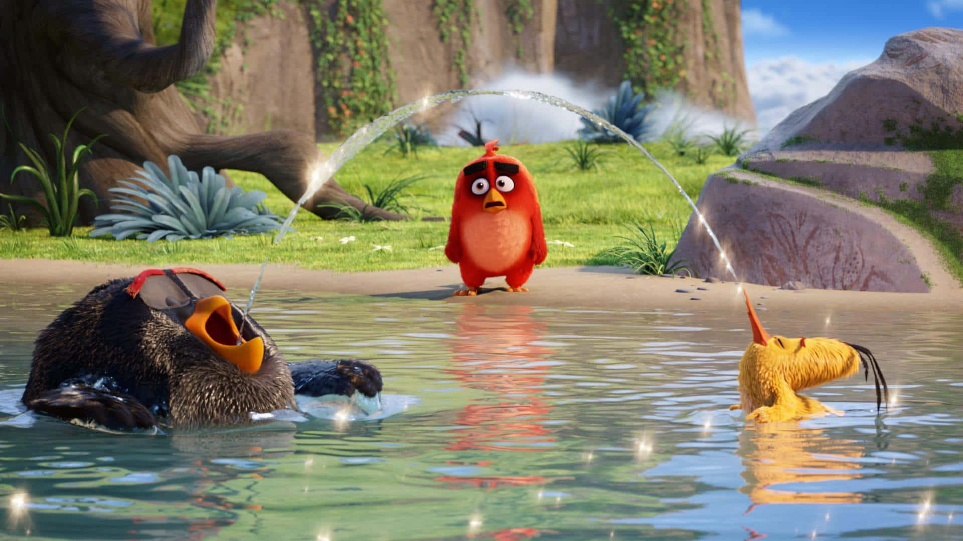Angry Birds, three animated birds, sunlit pond, Full HD Desktop Wallpaper