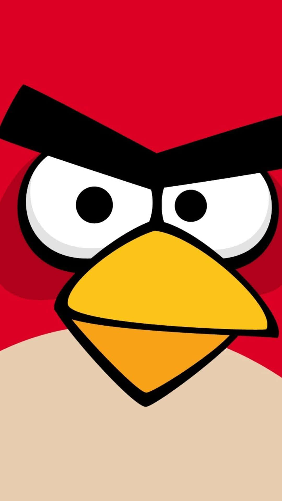 Angry Birds Red, cartoon red bird, angry eyebrows, Full HD Phone Wallpaper