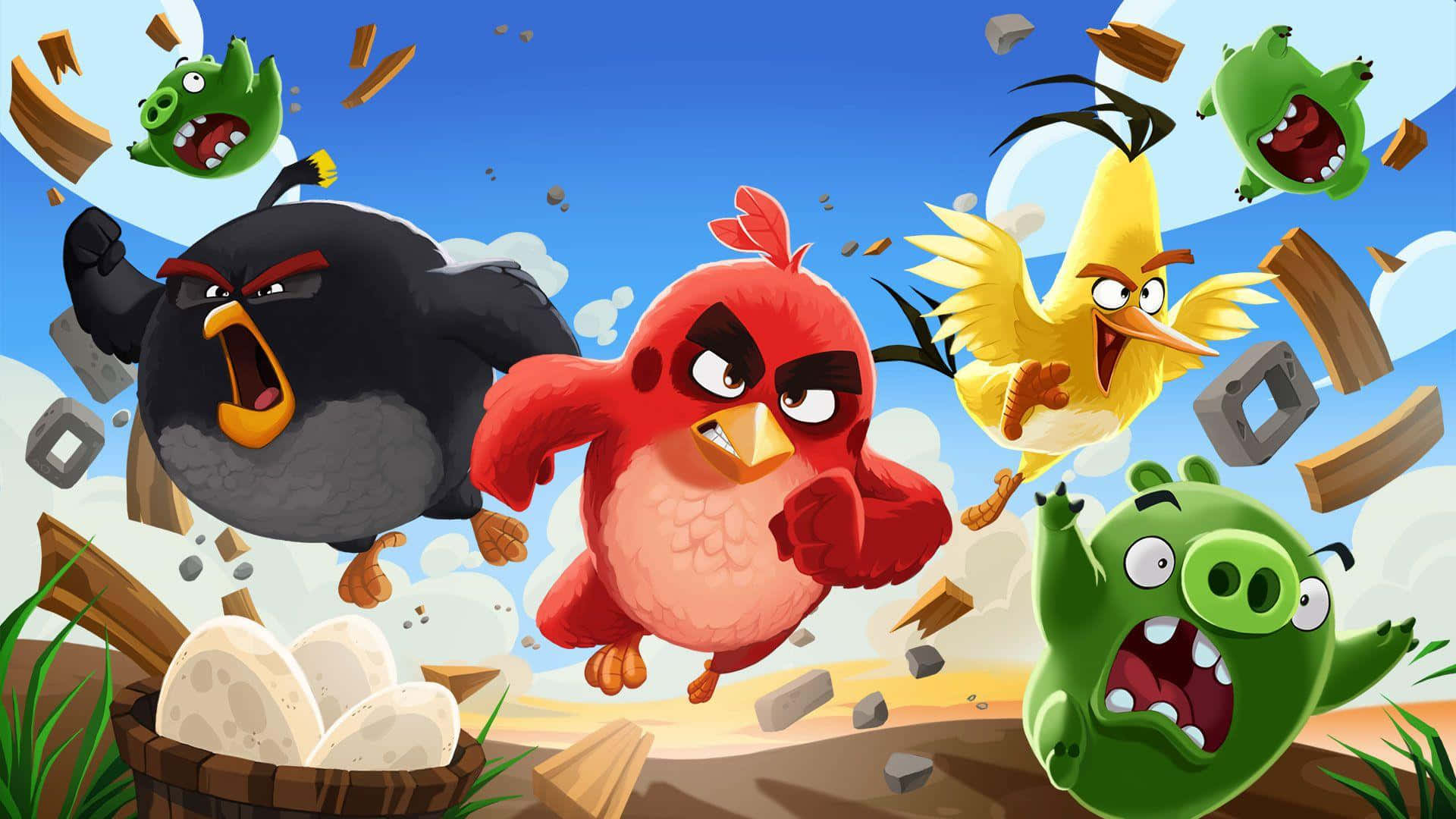 Angry Birds, action, characters, Full HD Desktop Wallpaper