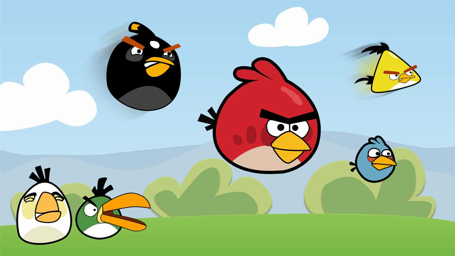 Angry Birds, cartoon birds, angry expressions, Full HD Desktop Wallpaper