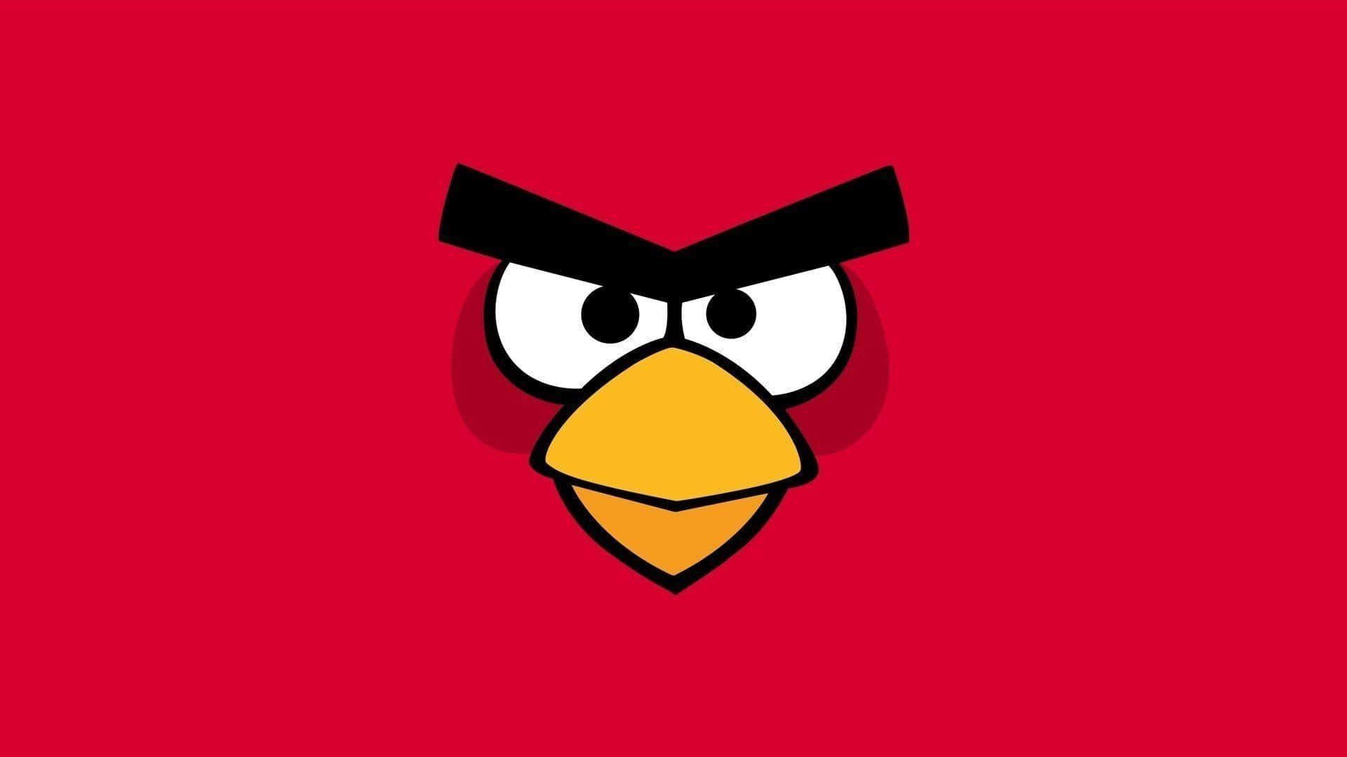 Angry Birds Red, red bird, angry eyebrows, Full HD Desktop Wallpaper