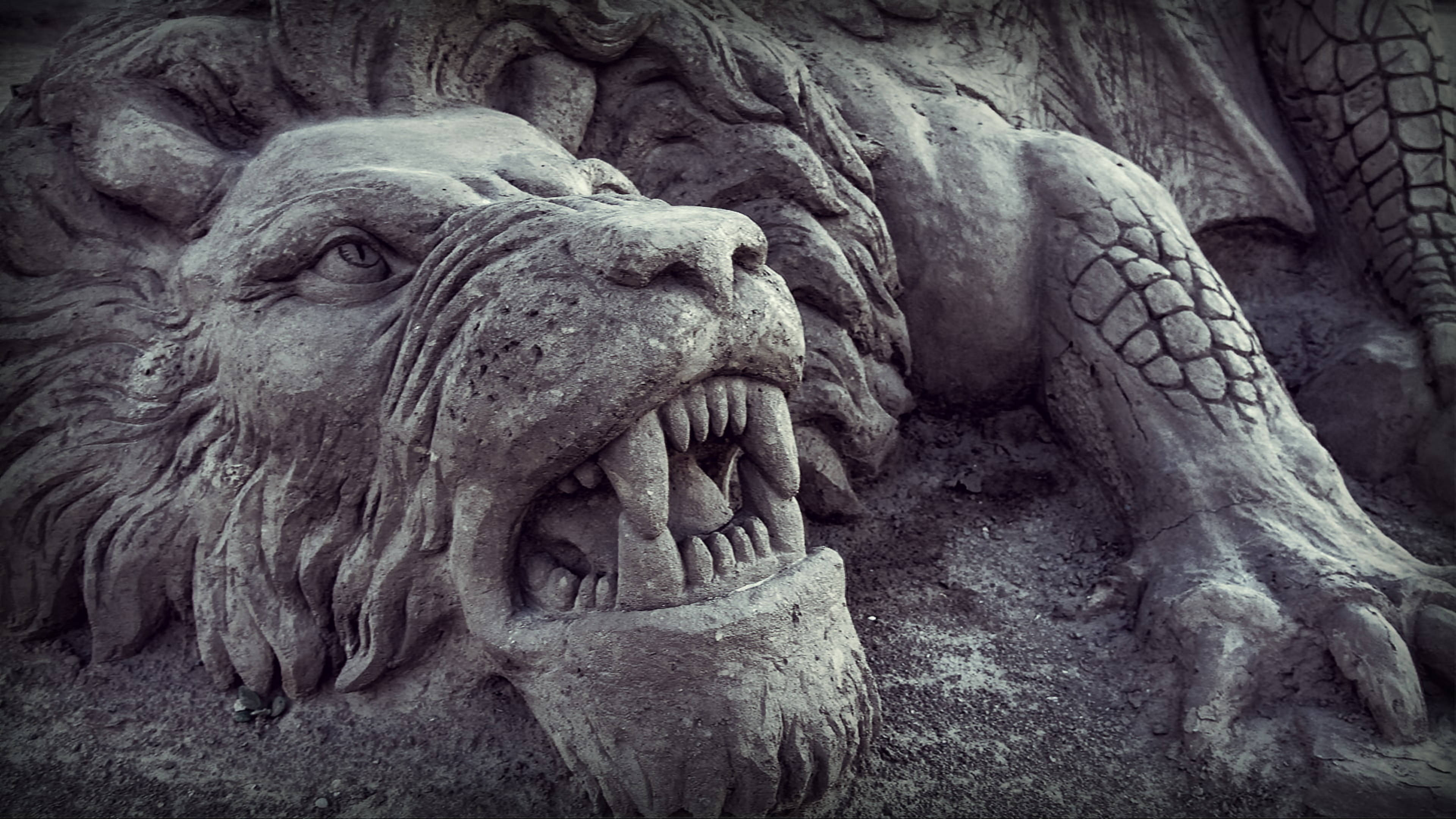 Angry Lion, sand sculpture, roaring lion, 4K Desktop Wallpaper
