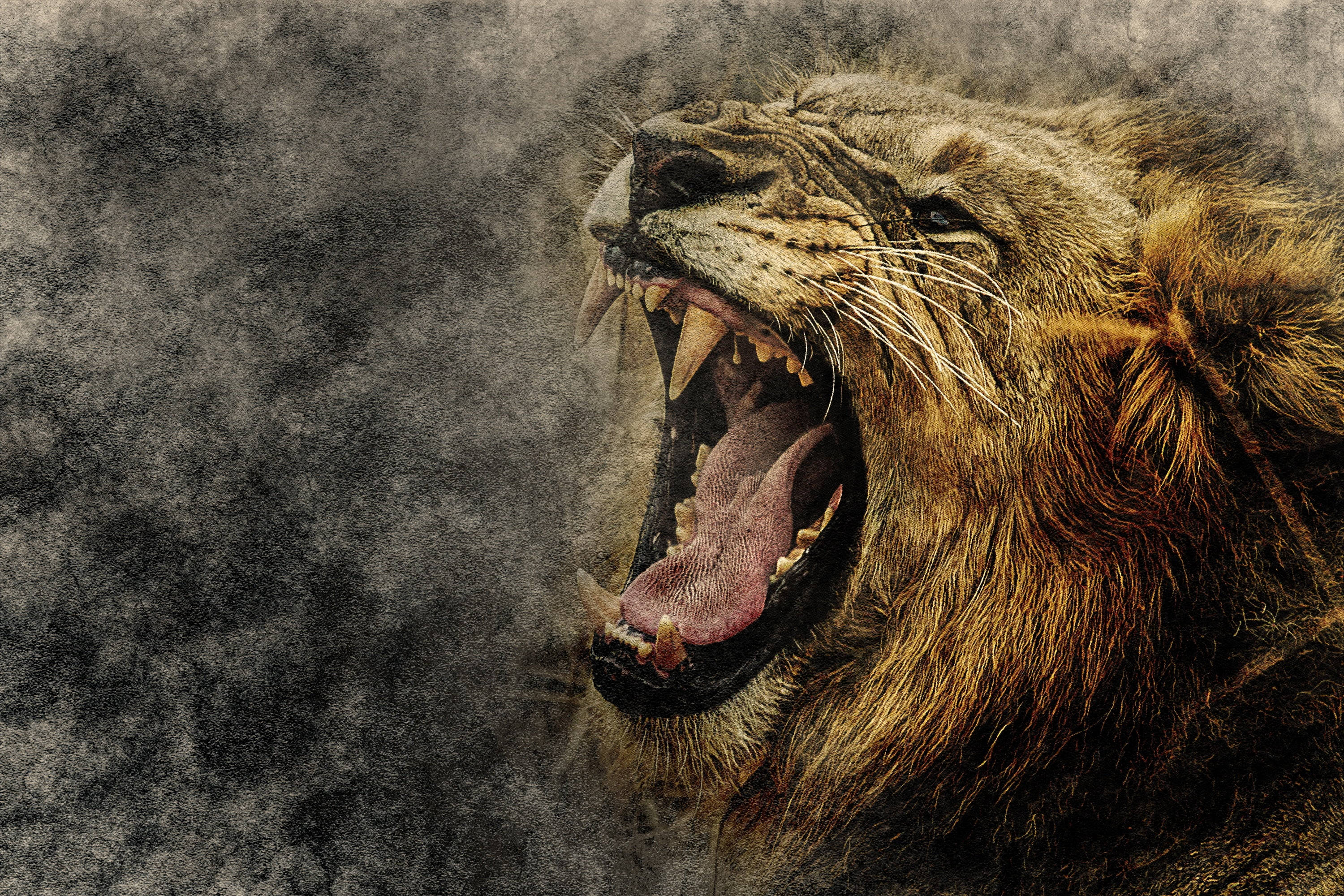 Angry Lion, smoky gray background, golden mane, 2K Desktop Wallpaper