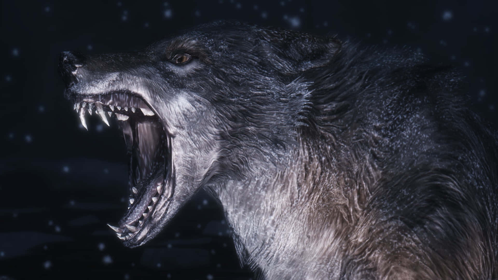 Angry Wolf, 1920 x 1080, dark snowy backdrop, Full HD Desktop Wallpaper