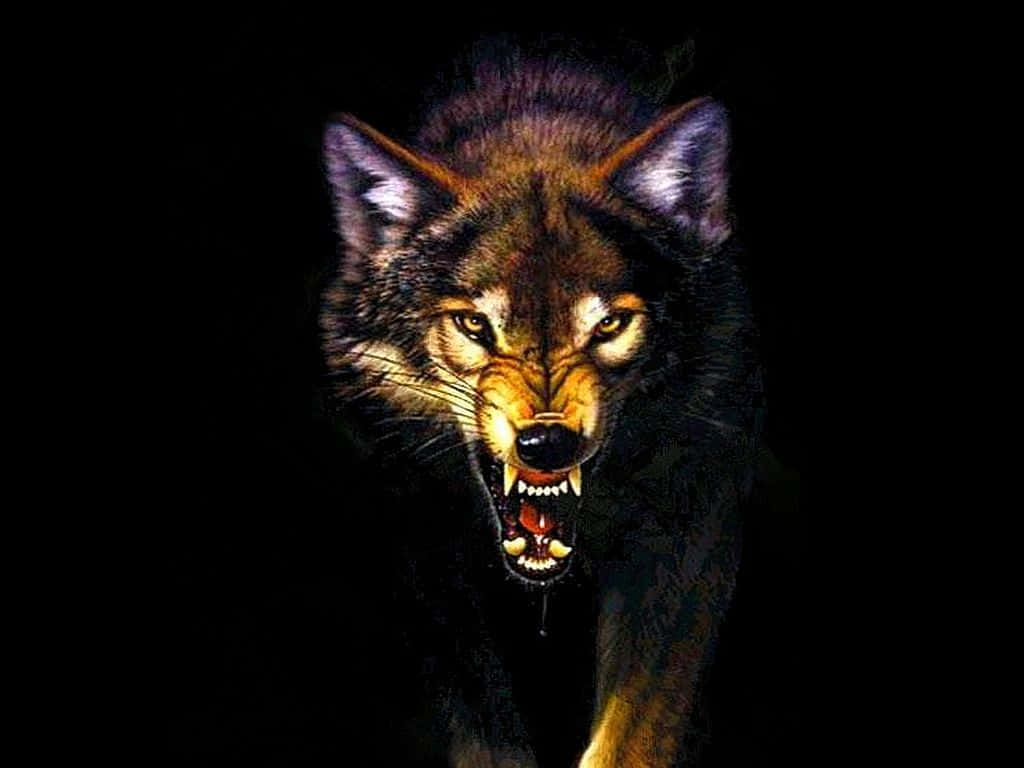 Angry Wolf, glowing eyes, bared teeth, SD Desktop Wallpaper