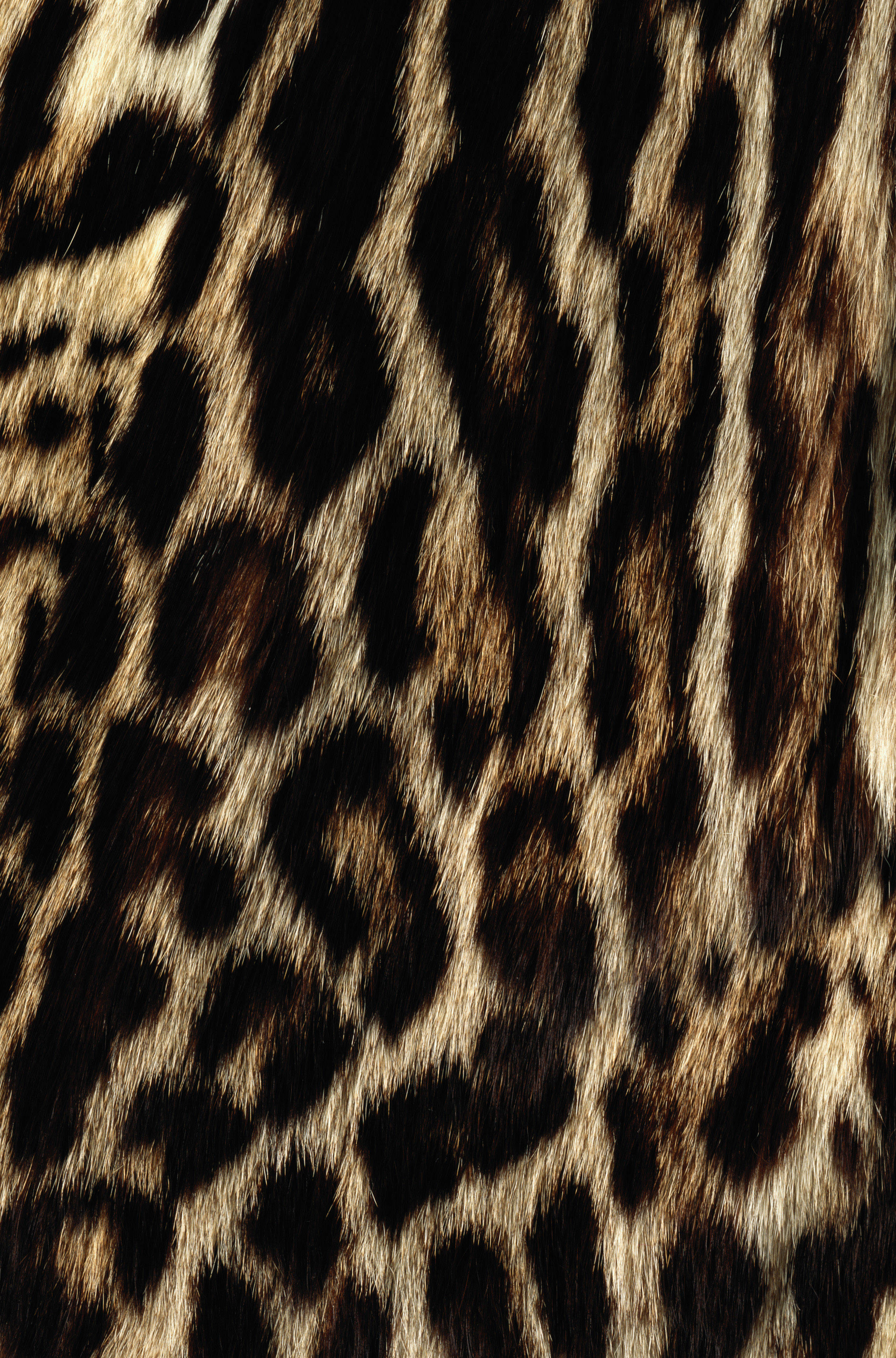 leopard fur, black rosettes, golden tan background, 4K Phone Wallpaper