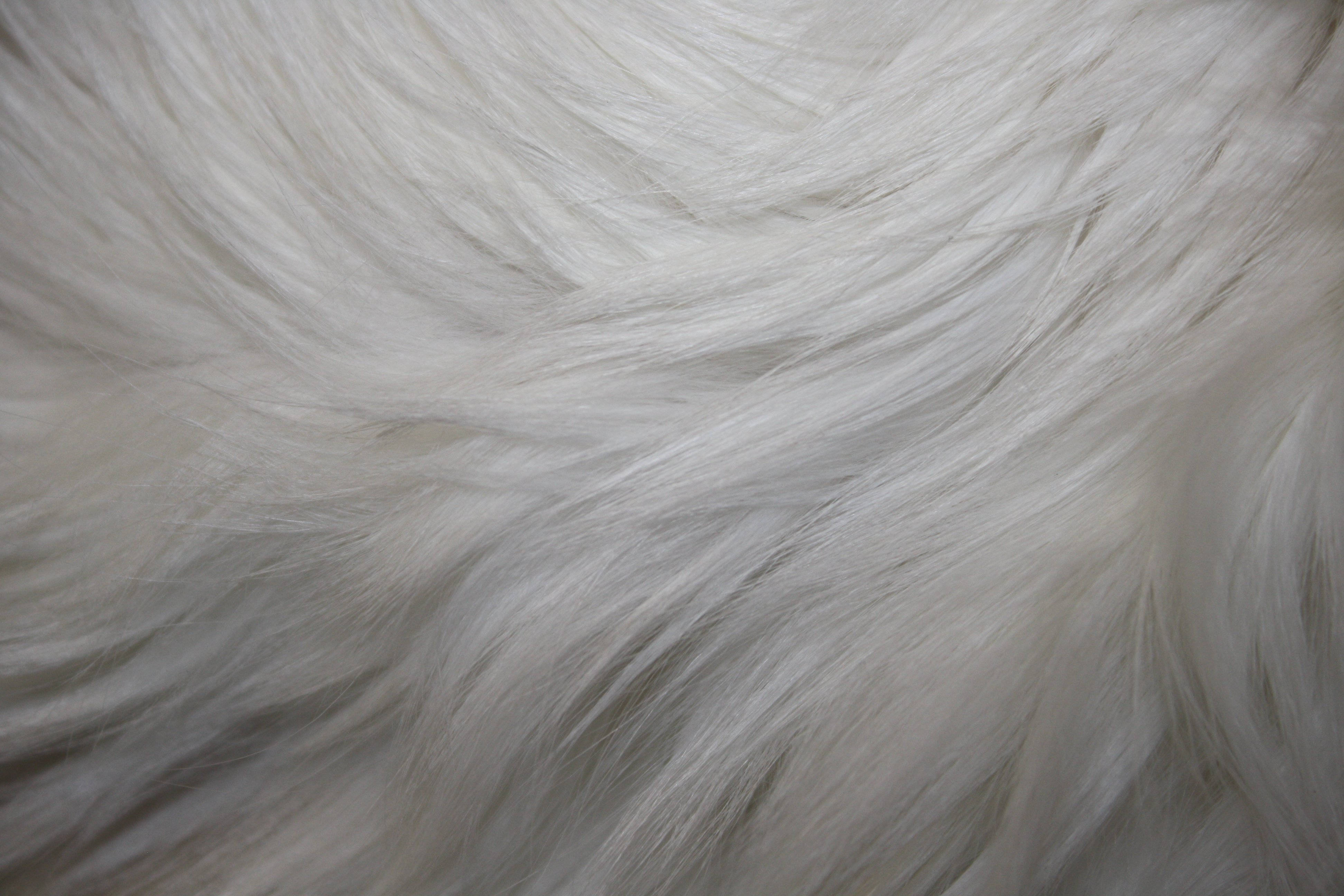 white smooth animal fur, soft white fur, gentle waves, 4K Desktop Wallpaper