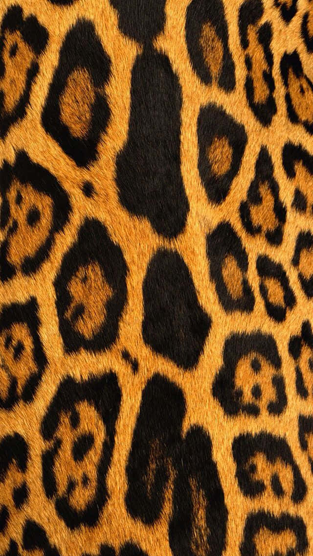 animal print iPhone, golden leopard fur, black rosettes, SD Phone Wallpaper