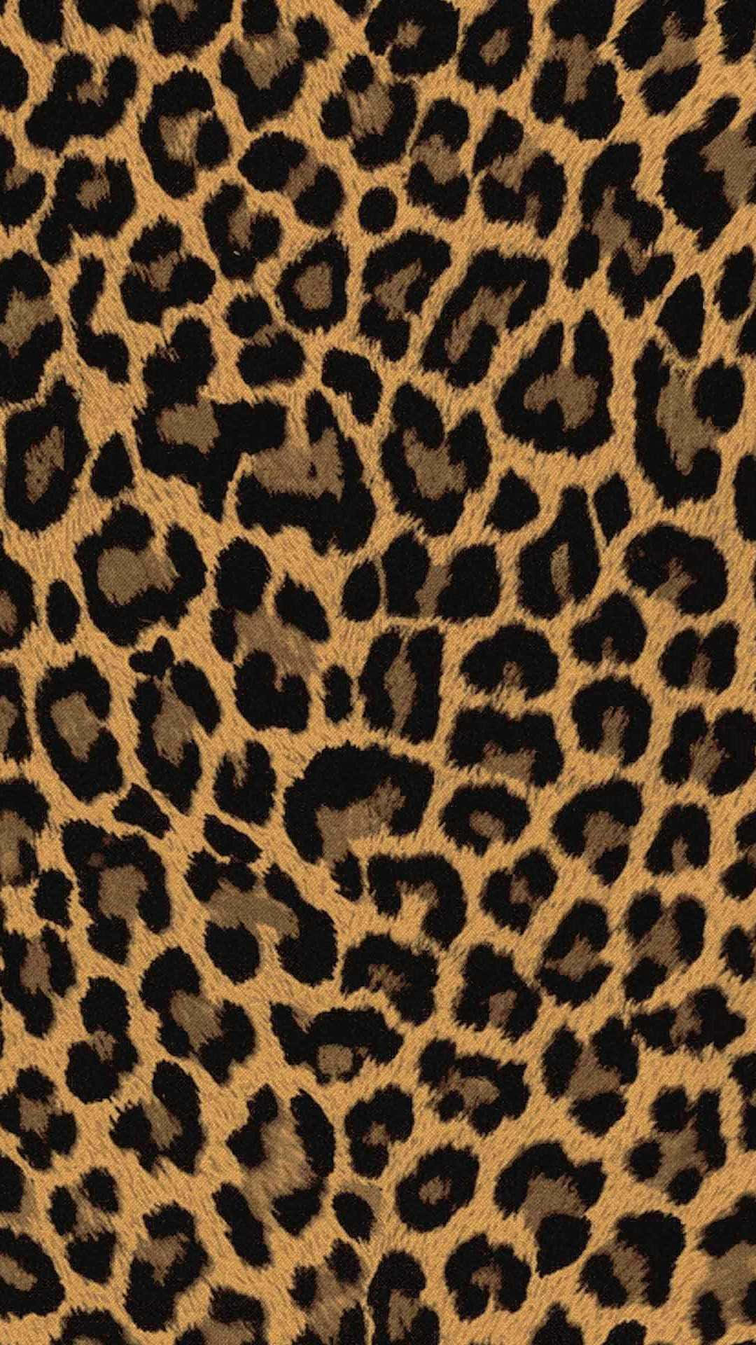 Animal Print iPhone, leopard print, black rosettes, Full HD Phone Wallpaper