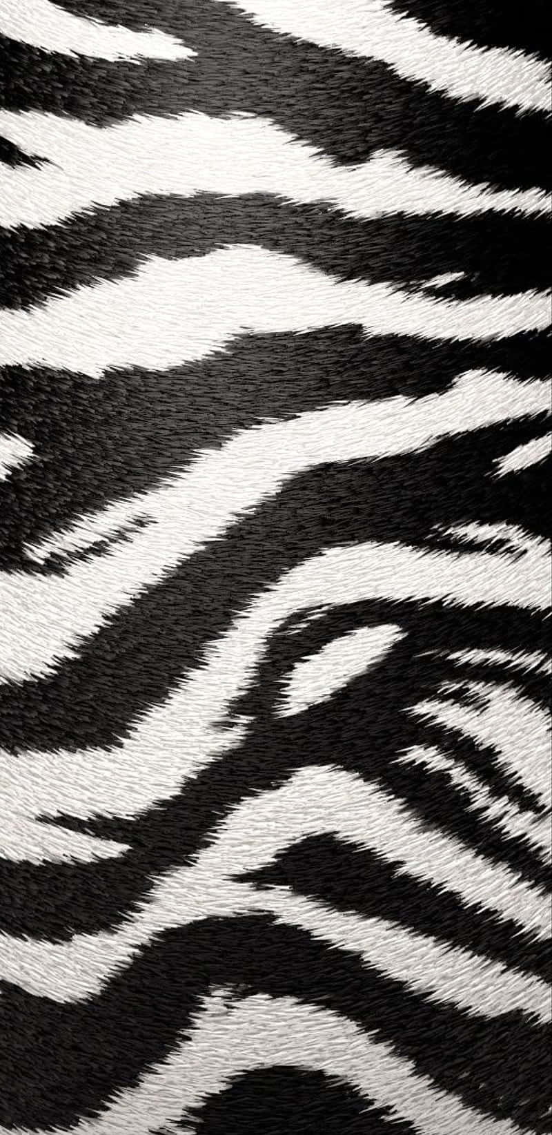 animal print iphone, zebra stripes, black and white, HD Phone Wallpaper