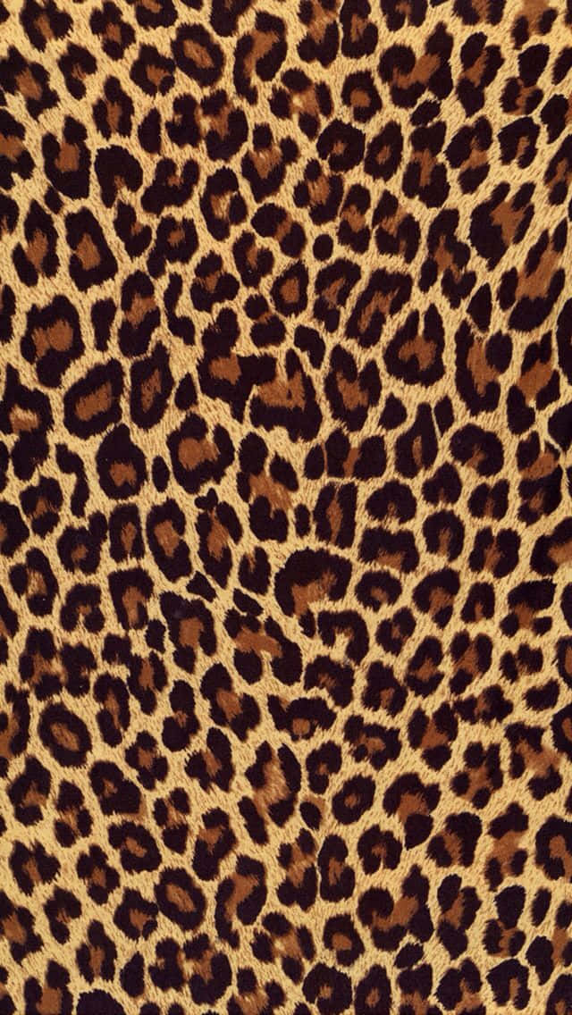 leopard print, tan background, dark brown spots, SD Phone Wallpaper
