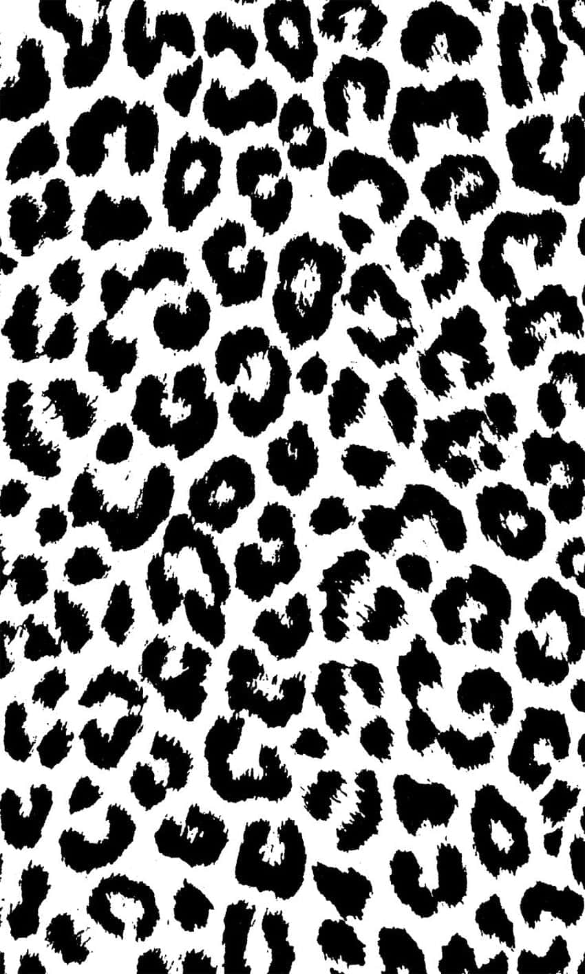 animal print, leopard spots, black, HD Phone Wallpaper