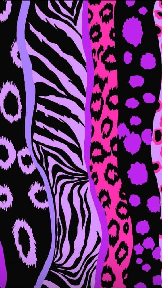 purple zebra print, black zebra leopard, bold pink, SD Phone Wallpaper