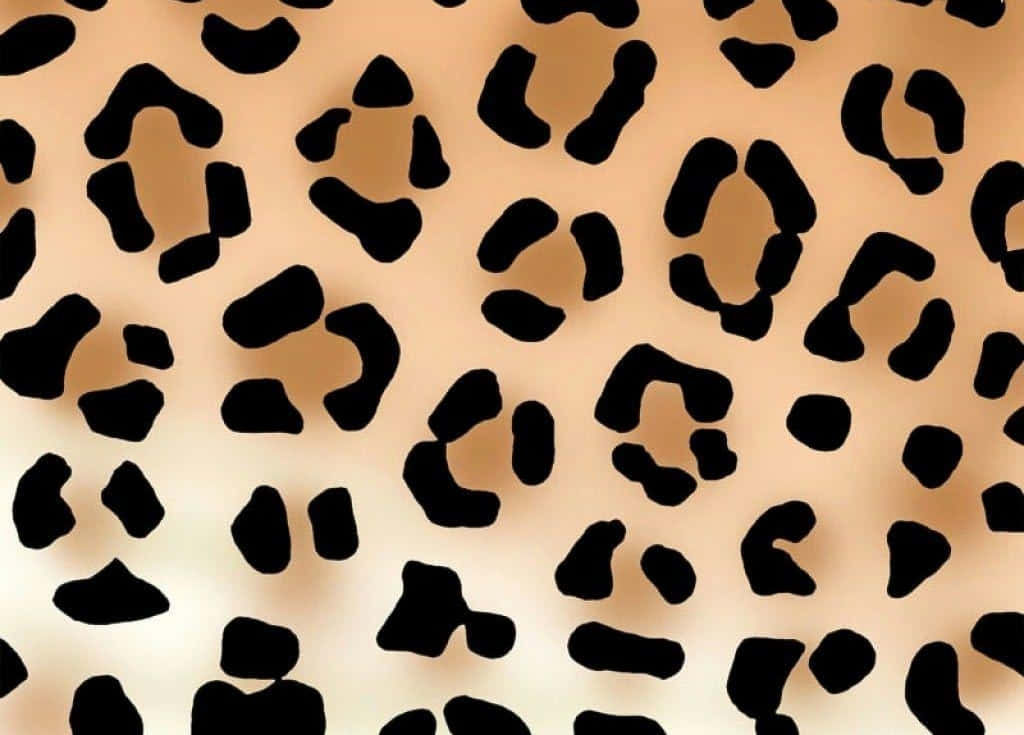 leopard print, beige fabric, black leopard spots, SD Desktop Wallpaper