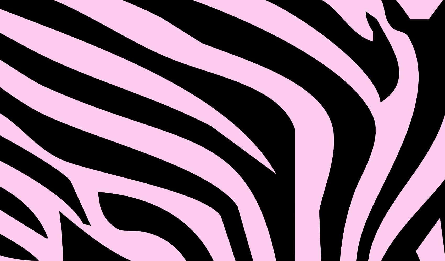 pink, black, zebra stripes, HD Desktop Wallpaper