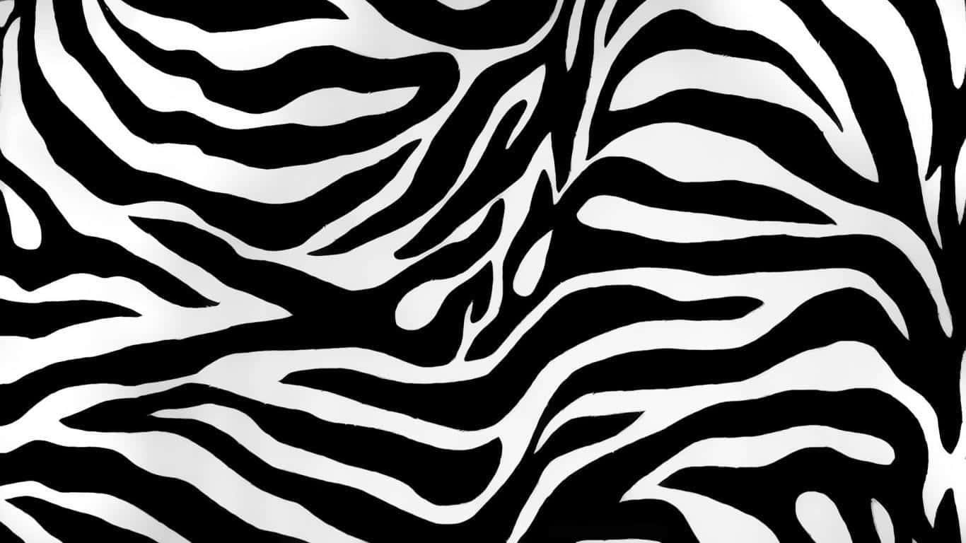 zebra stripe pattern, black and white, sharp contrast, HD Desktop Wallpaper