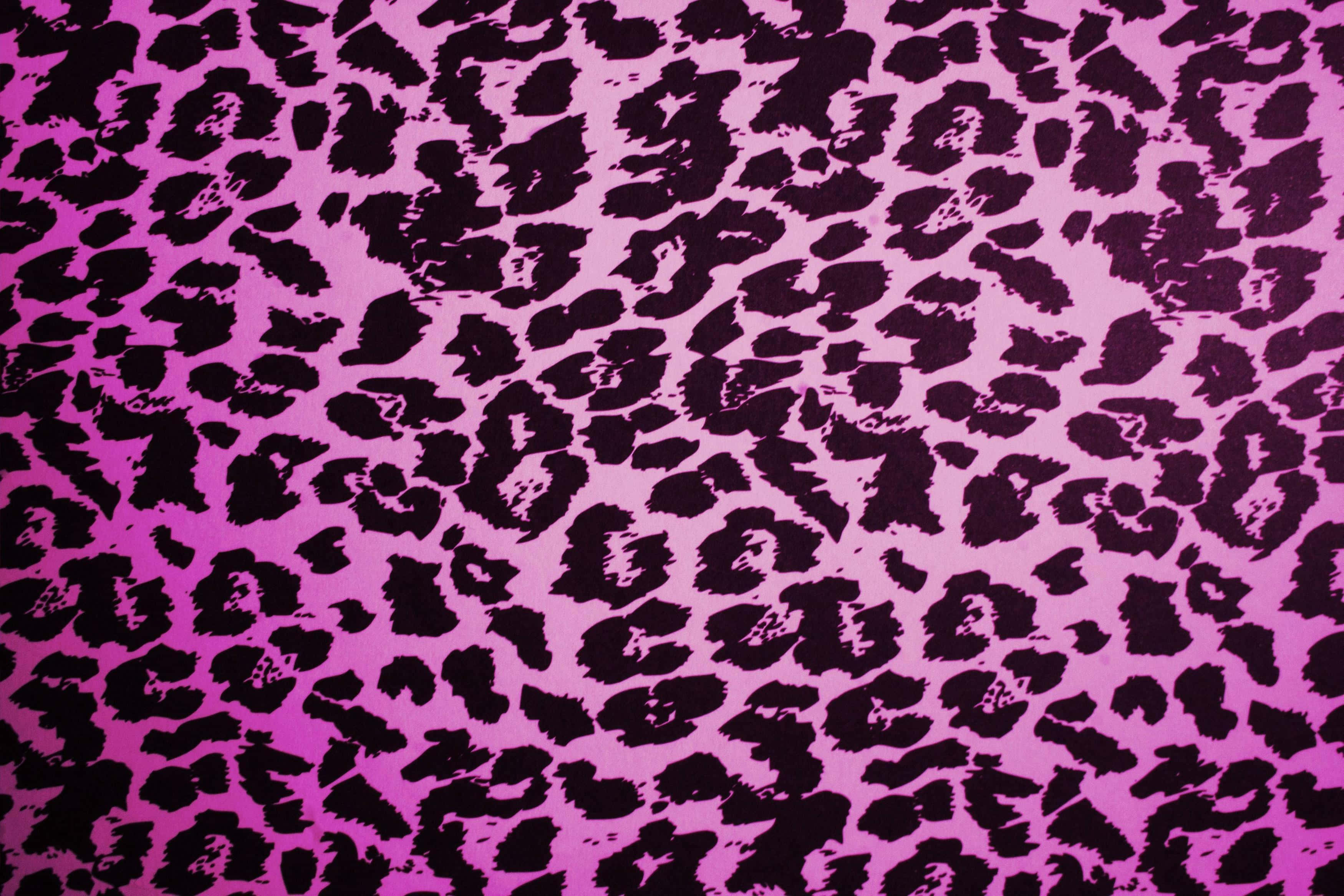 leopard print, pink, black, 2K Desktop Wallpaper