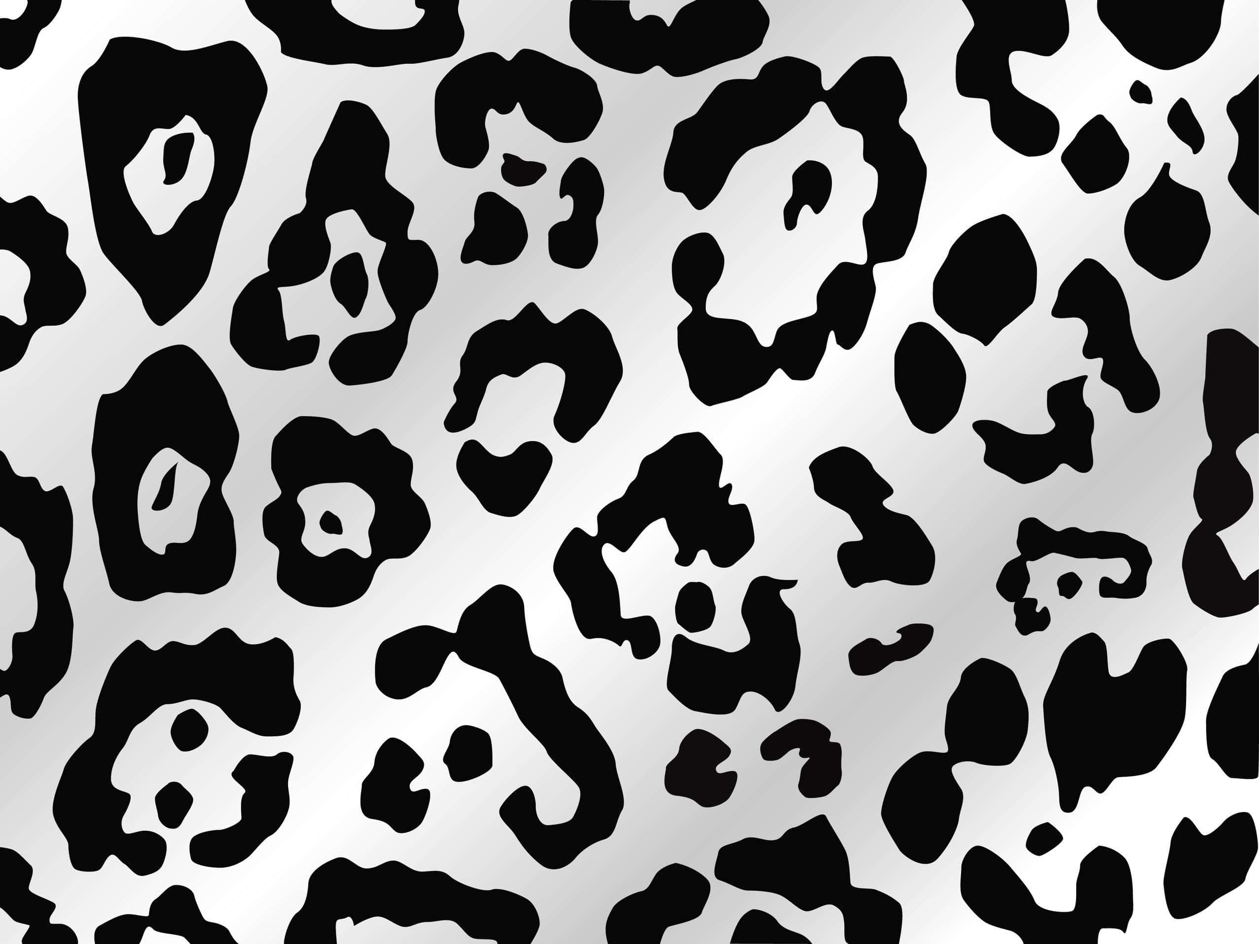 leopard print, black, white, Full HD Desktop Wallpaper