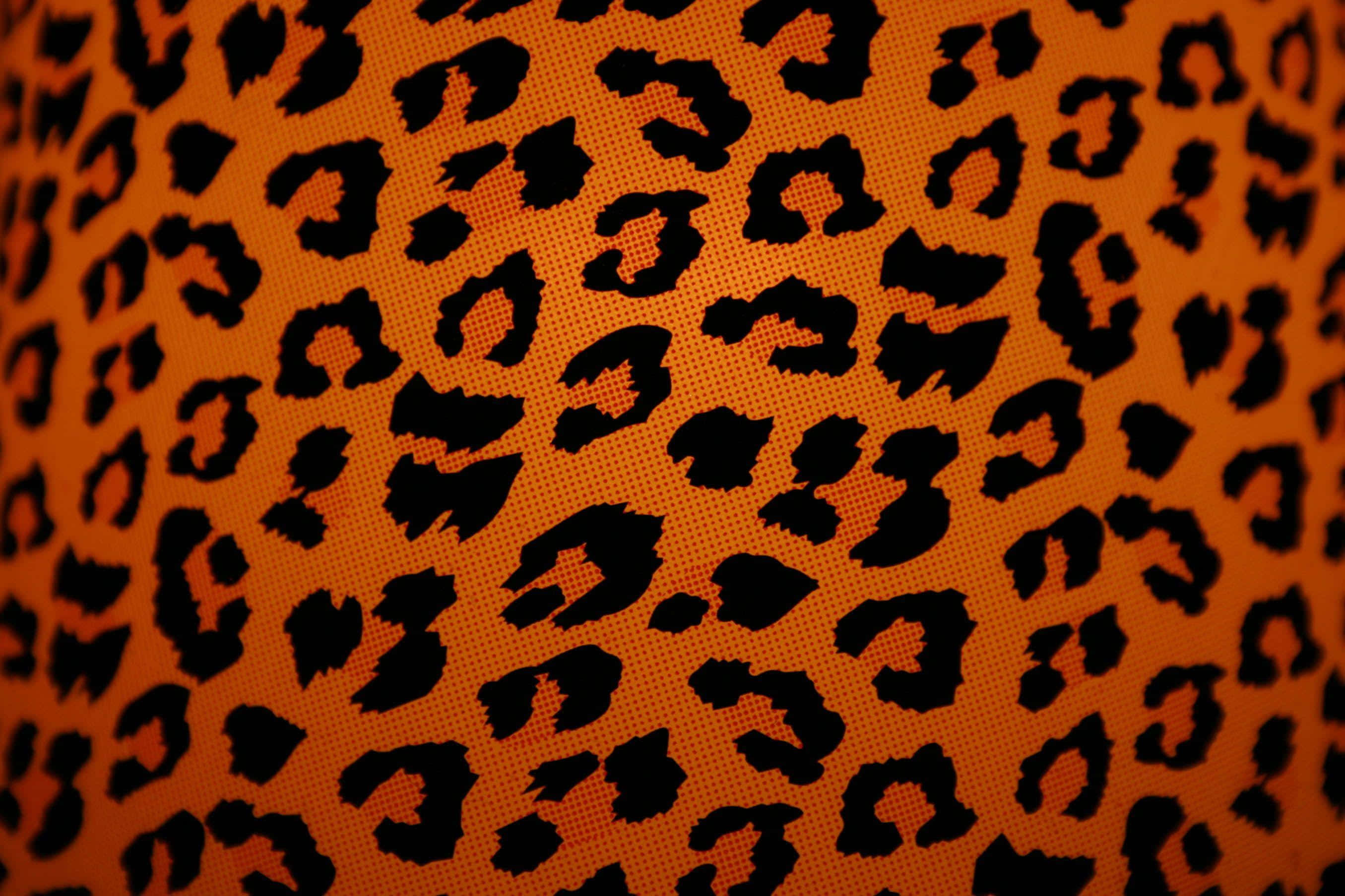 Animal Print, orange background, black leopard spots, 2K Desktop Wallpaper